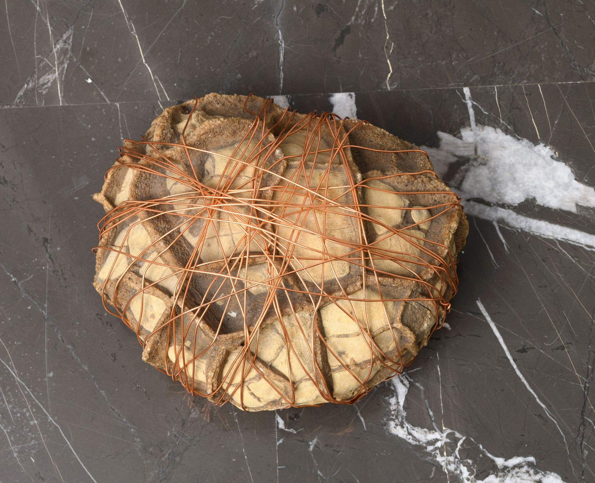 Giovanni Kronenberg Senza Titolo, 2022 septaria with anodized aluminum wire cm 29 x 22 x 16 ph. Giorgio Benni