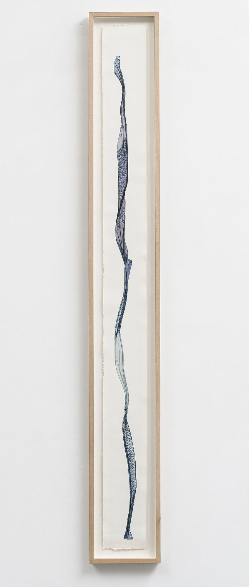 Beatrice Pediconi Emaki 1, 2022 Emulsion transfert and acrilyc on paper cm 138 x 18 ph. Giorgio Benni