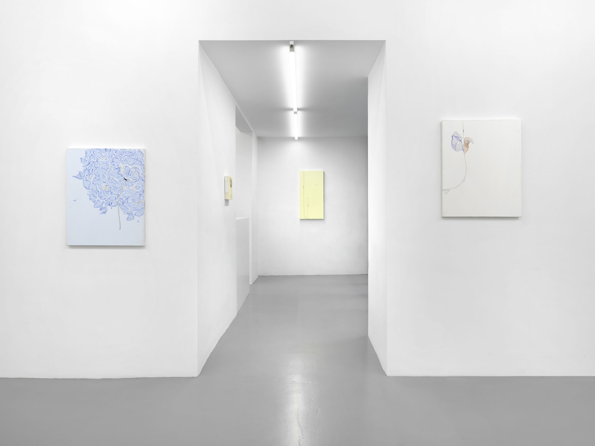 Installation View, Beatrice Pediconi | ... senza turbare una stella, curated by Antonello Tolve, 2024, z2o Sara Zanin | Ph. Dario Lasagni