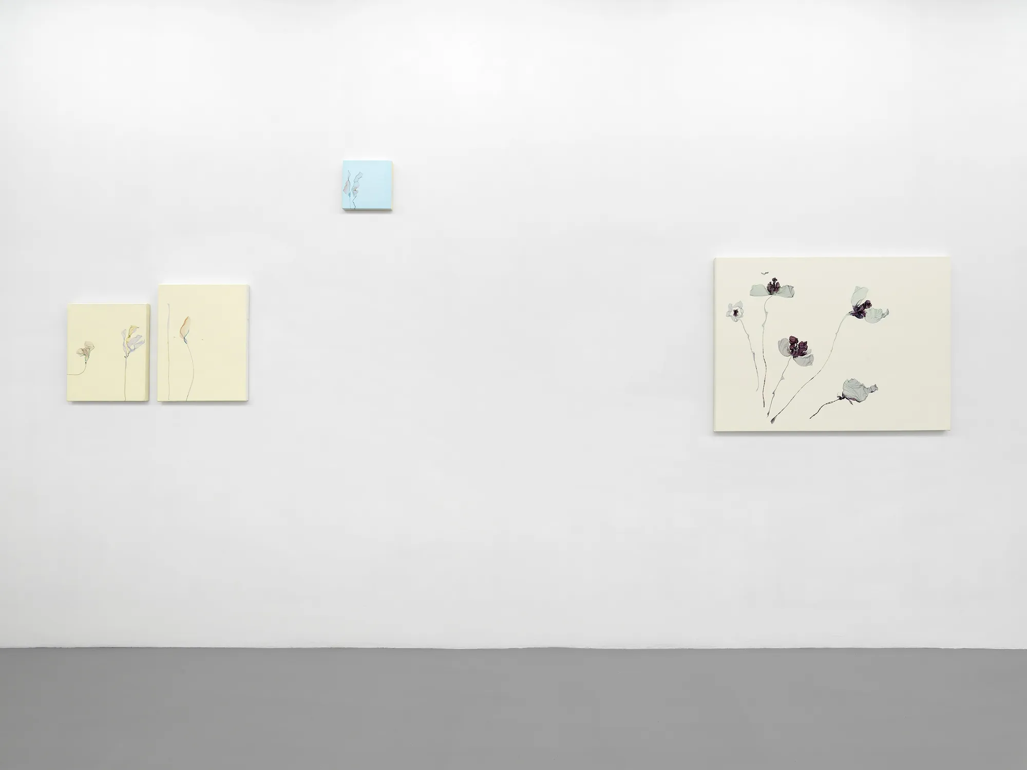 Installation View, Beatrice Pediconi | ... senza turbare una stella, curated by Antonello Tolve, 2024, z2o Sara Zanin | Ph. Dario Lasagni