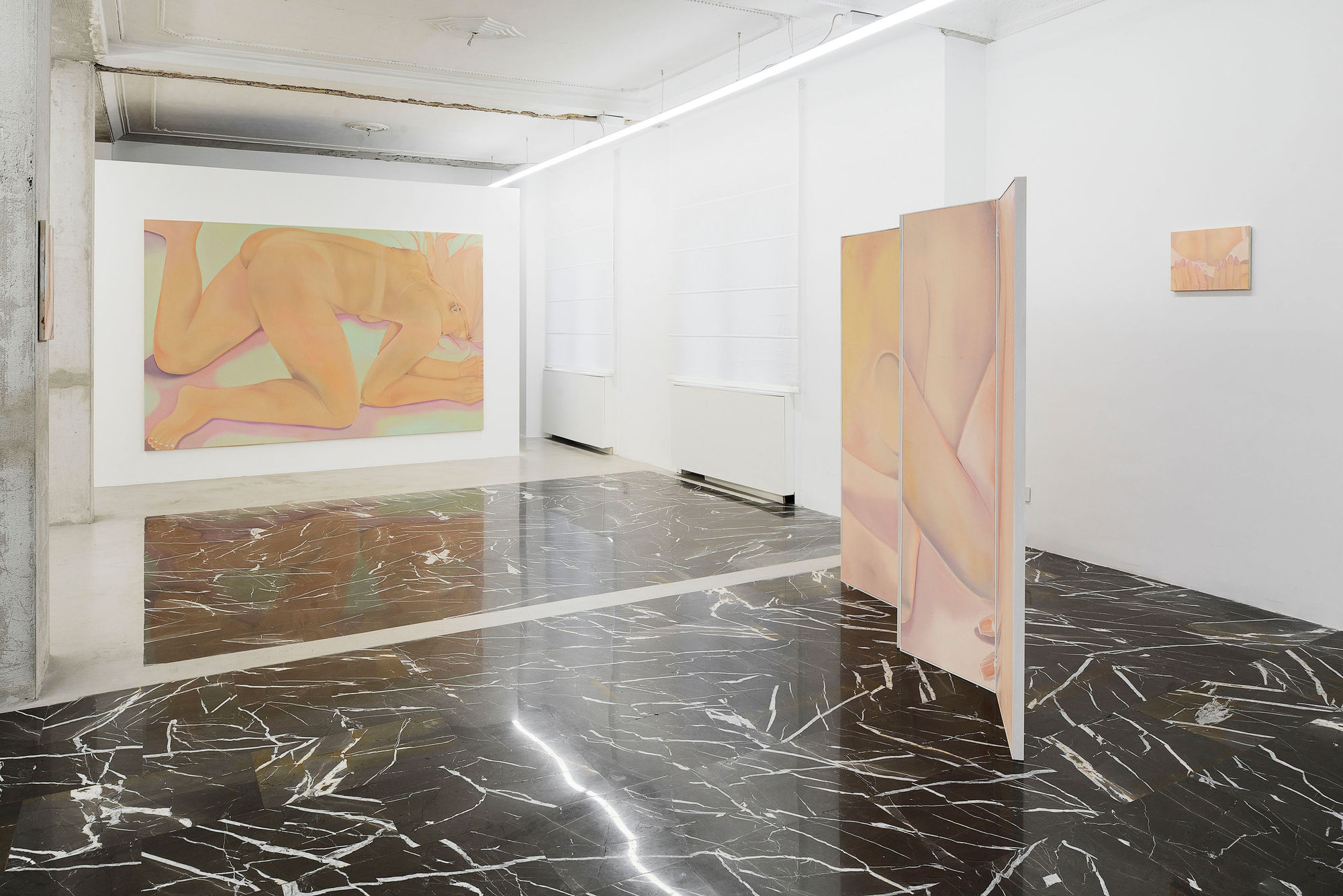 Installation View, Adelisa Selimbašić, Dust Bunny, curated by Michele Spinelli, 2024, z2o Project. Ph. Roberto Apa