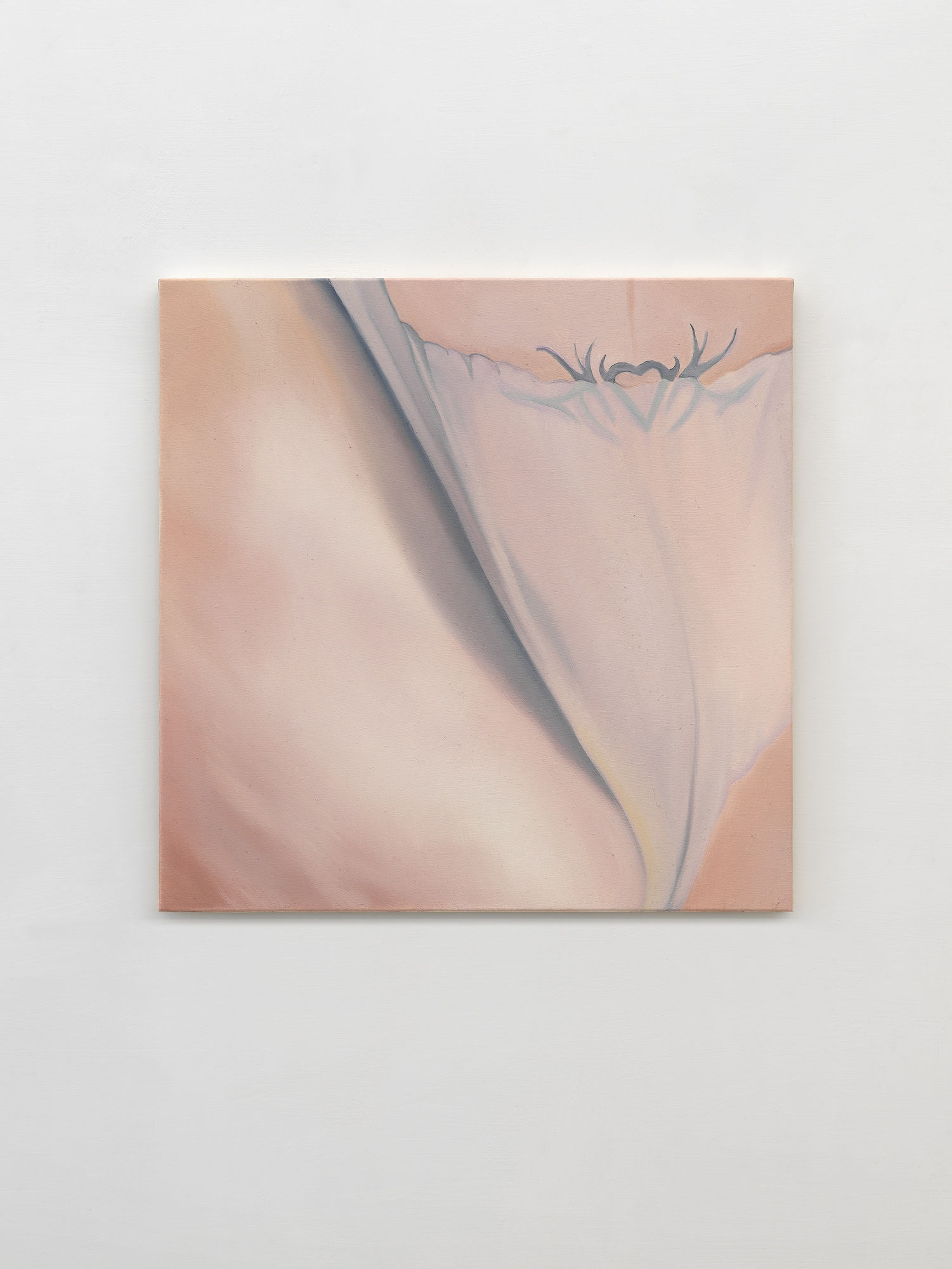 Zucchero filato, 2024, oil on canvas, cm 50 x 50. Ph. Dario Lasagni