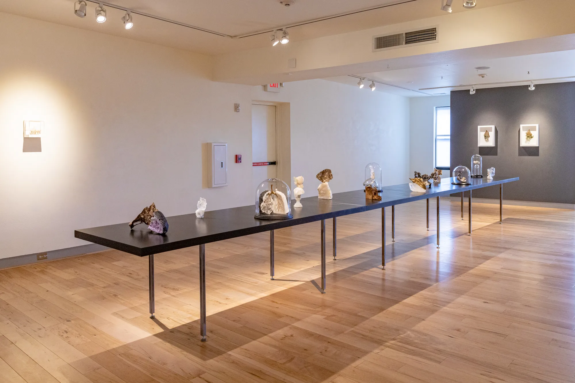 Debra Baxter: Love Tears