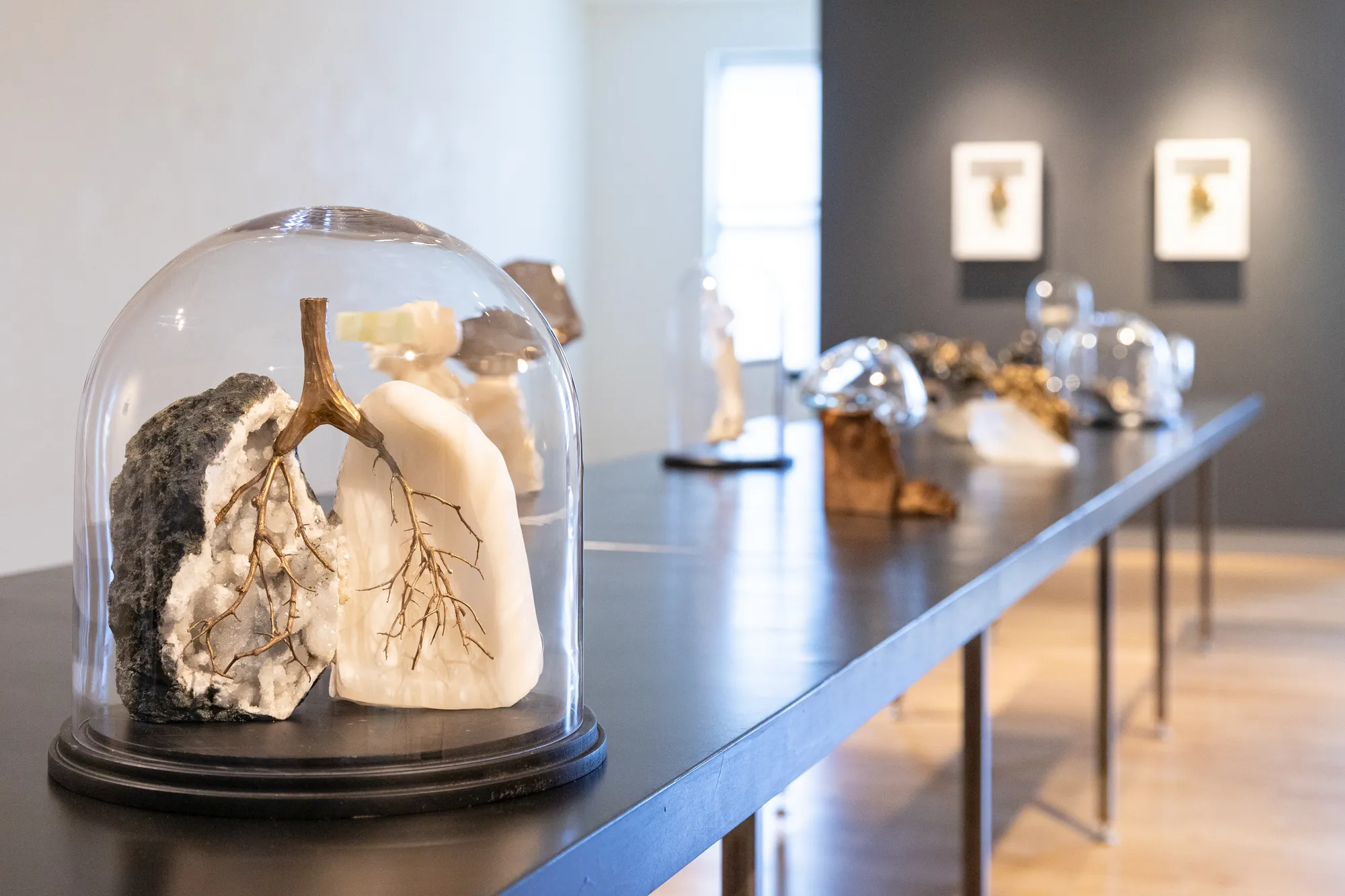 Debra Baxter: Love Tears