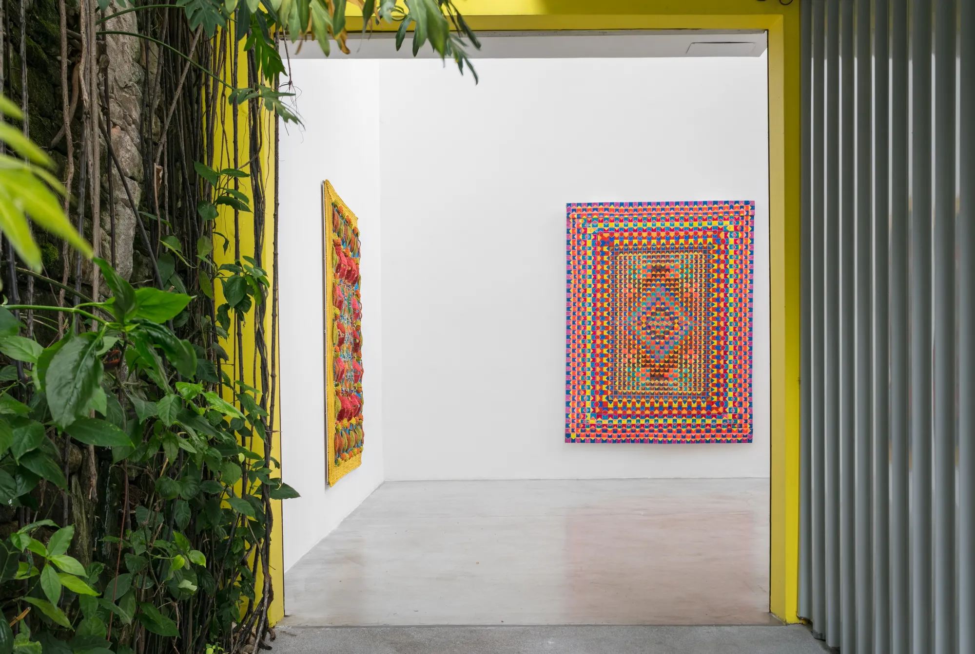 Autofagia, corrupio no olhar