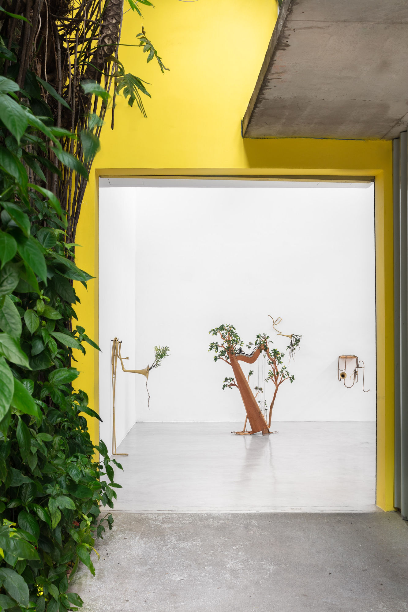 Orquestra Assinfônica Fotossintética