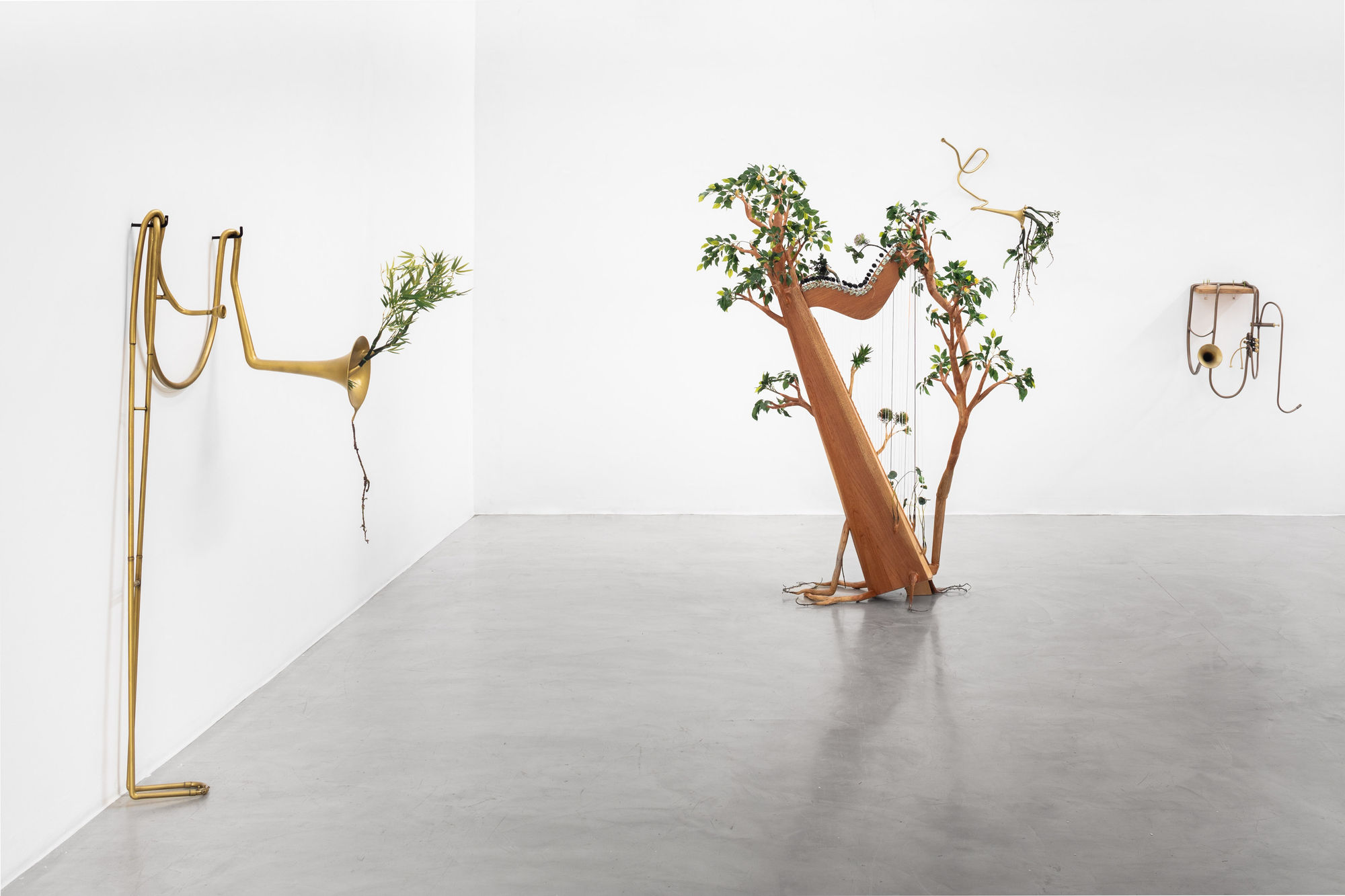 Orquestra Assinfônica Fotossintética