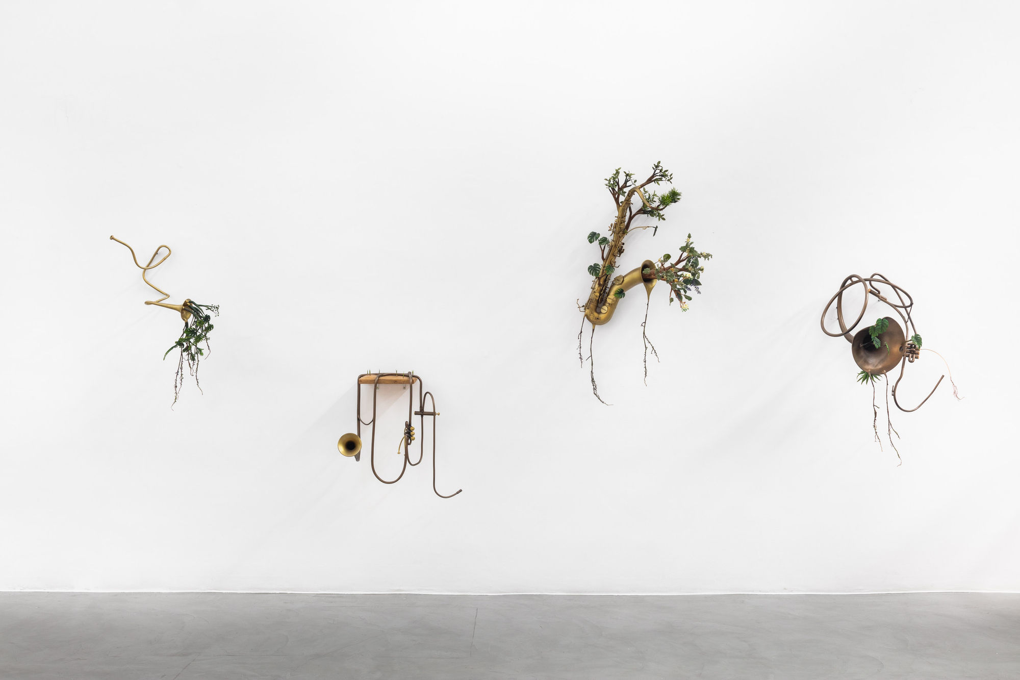 Orquestra Assinfônica Fotossintética