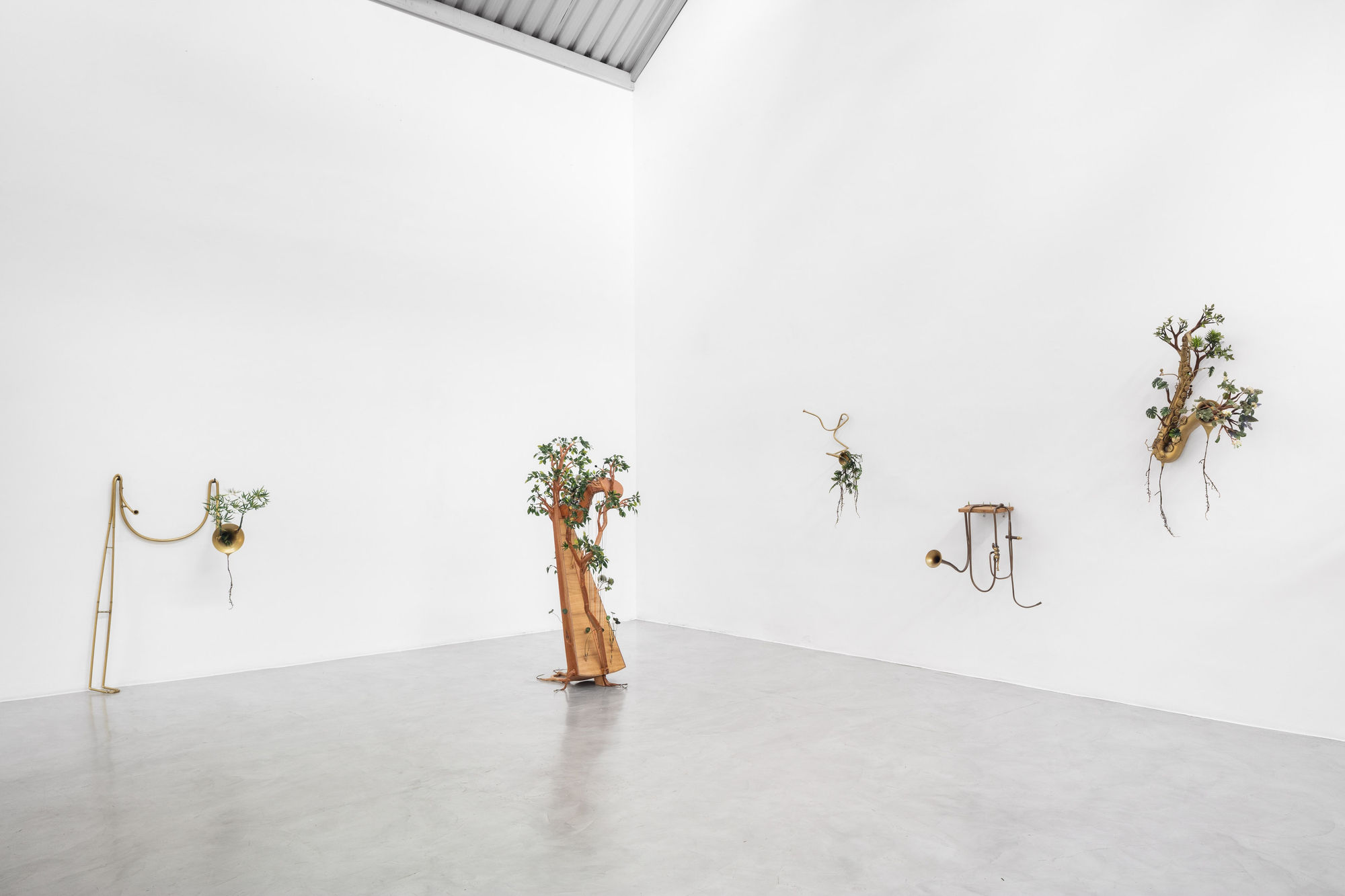 Orquestra Assinfônica Fotossintética