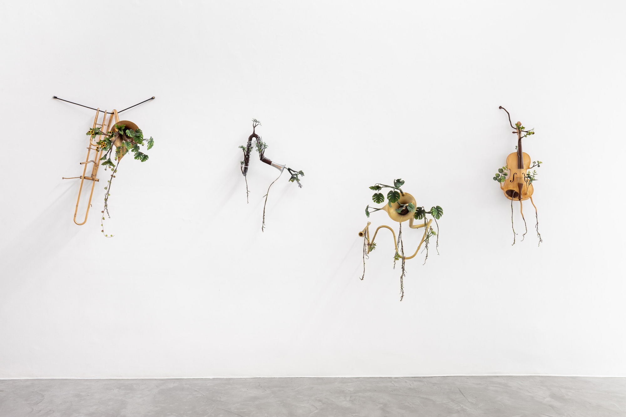 Orquestra Assinfônica Fotossintética