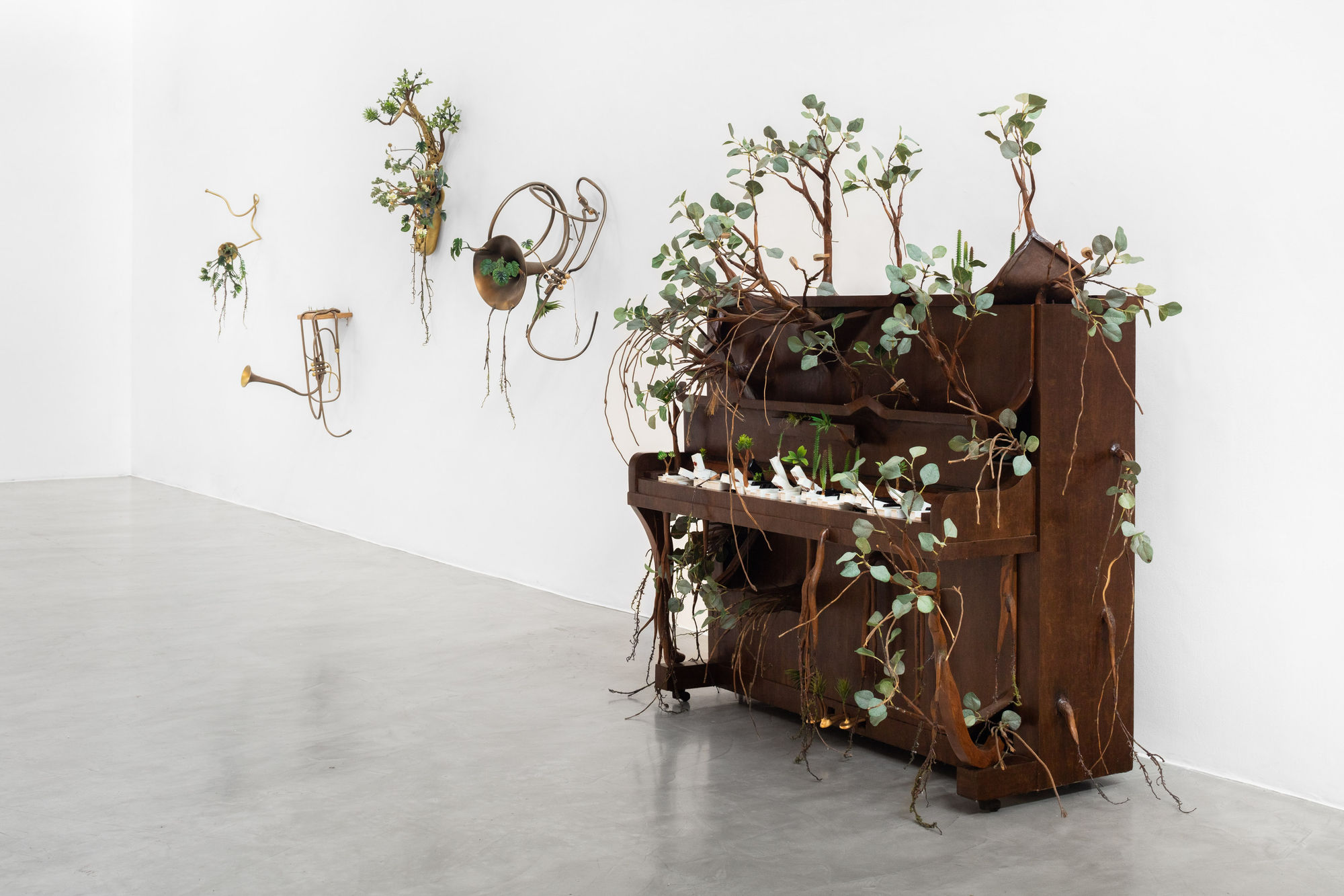 Orquestra Assinfônica Fotossintética