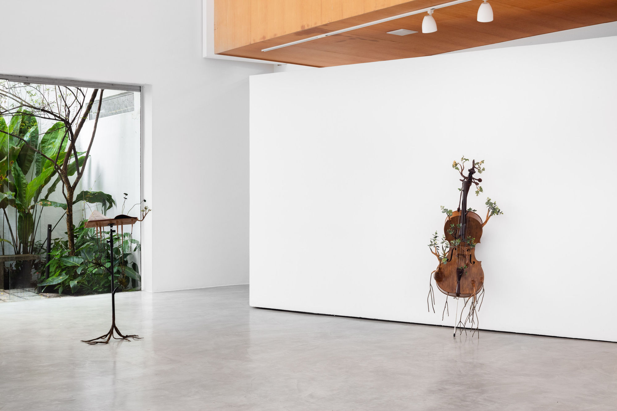 Orquestra Assinfônica Fotossintética