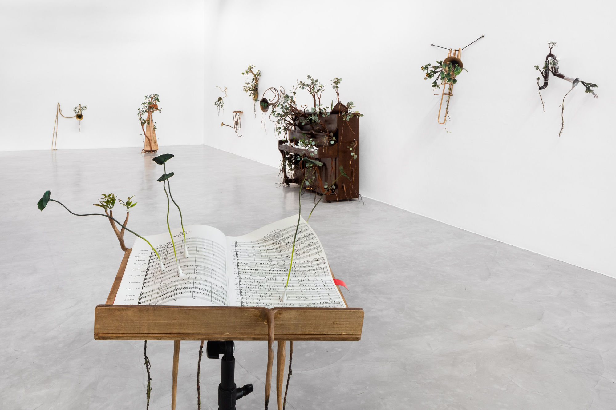 Orquestra Assinfônica Fotossintética