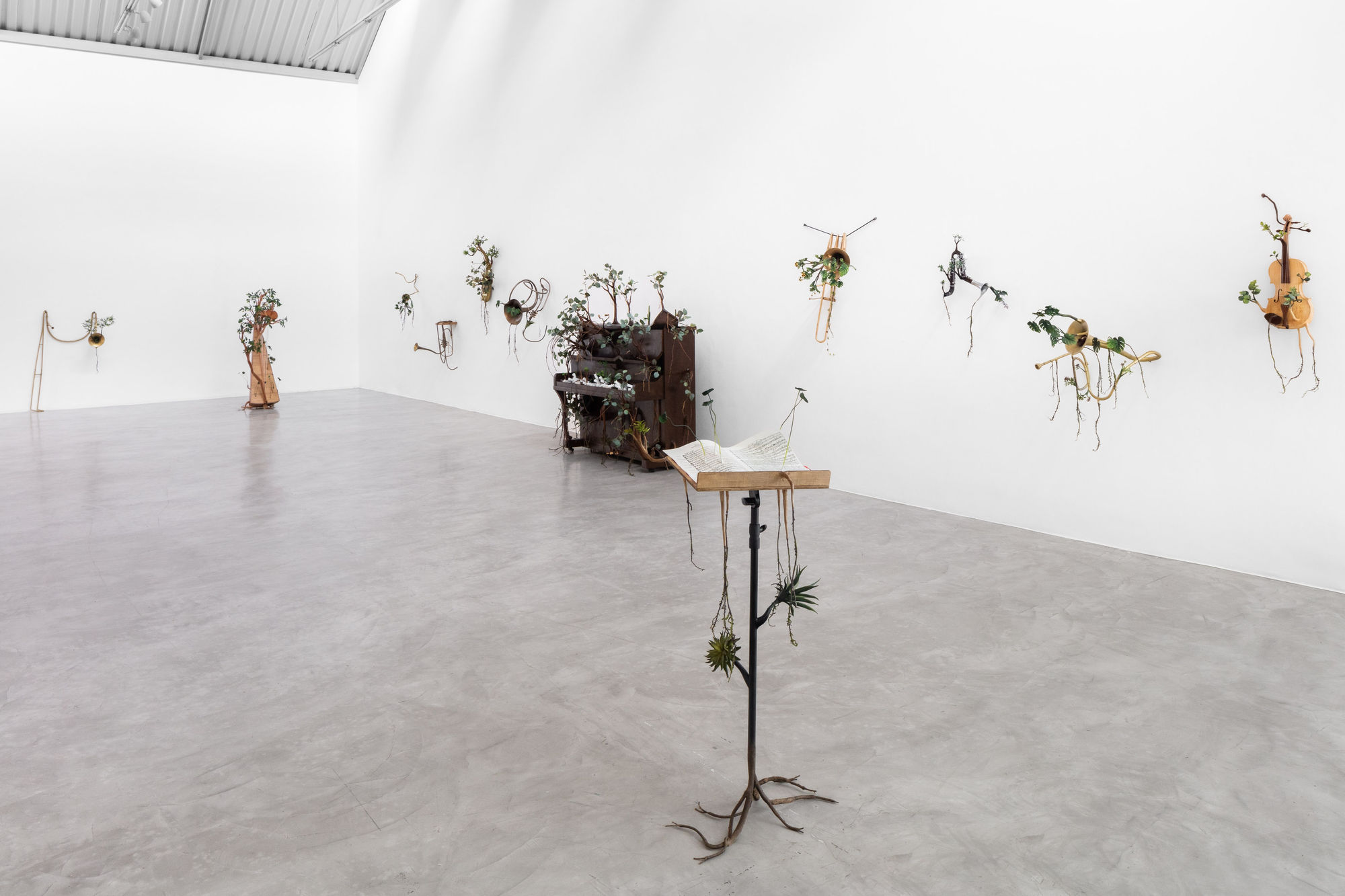 Orquestra Assinfônica Fotossintética