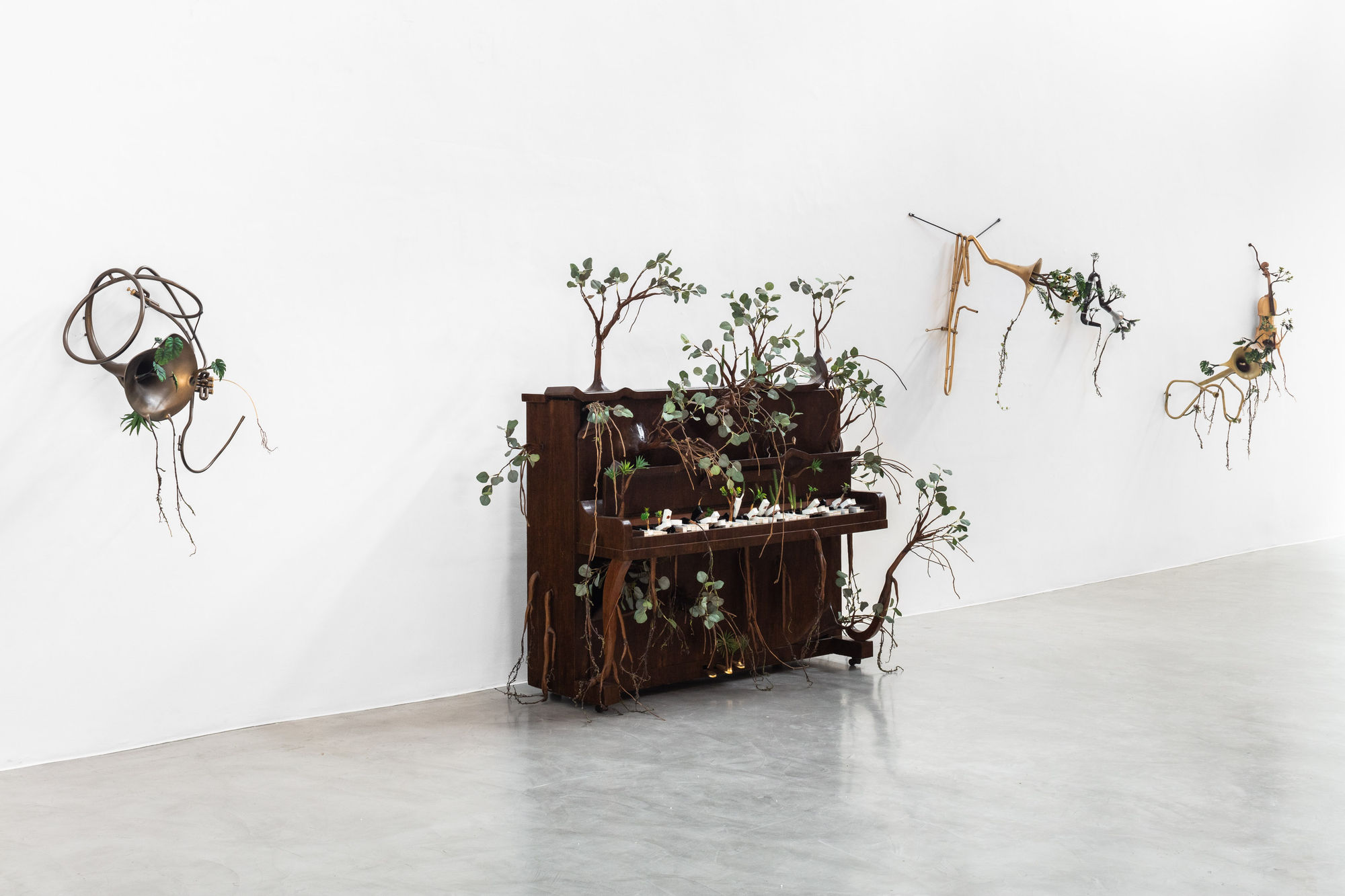 Orquestra Assinfônica Fotossintética