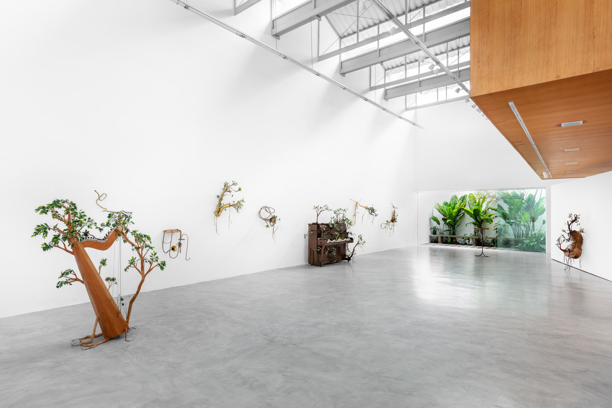 Orquestra Assinfônica Fotossintética