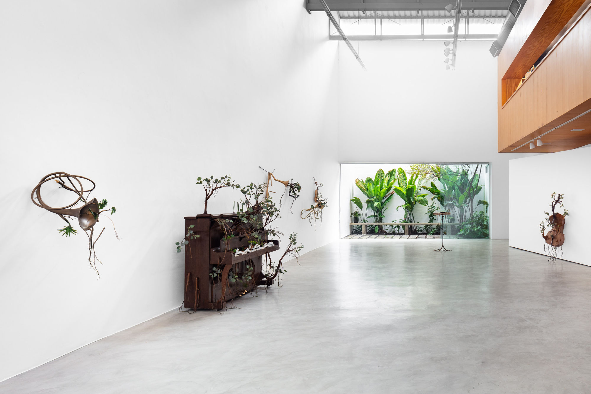 Orquestra Assinfônica Fotossintética