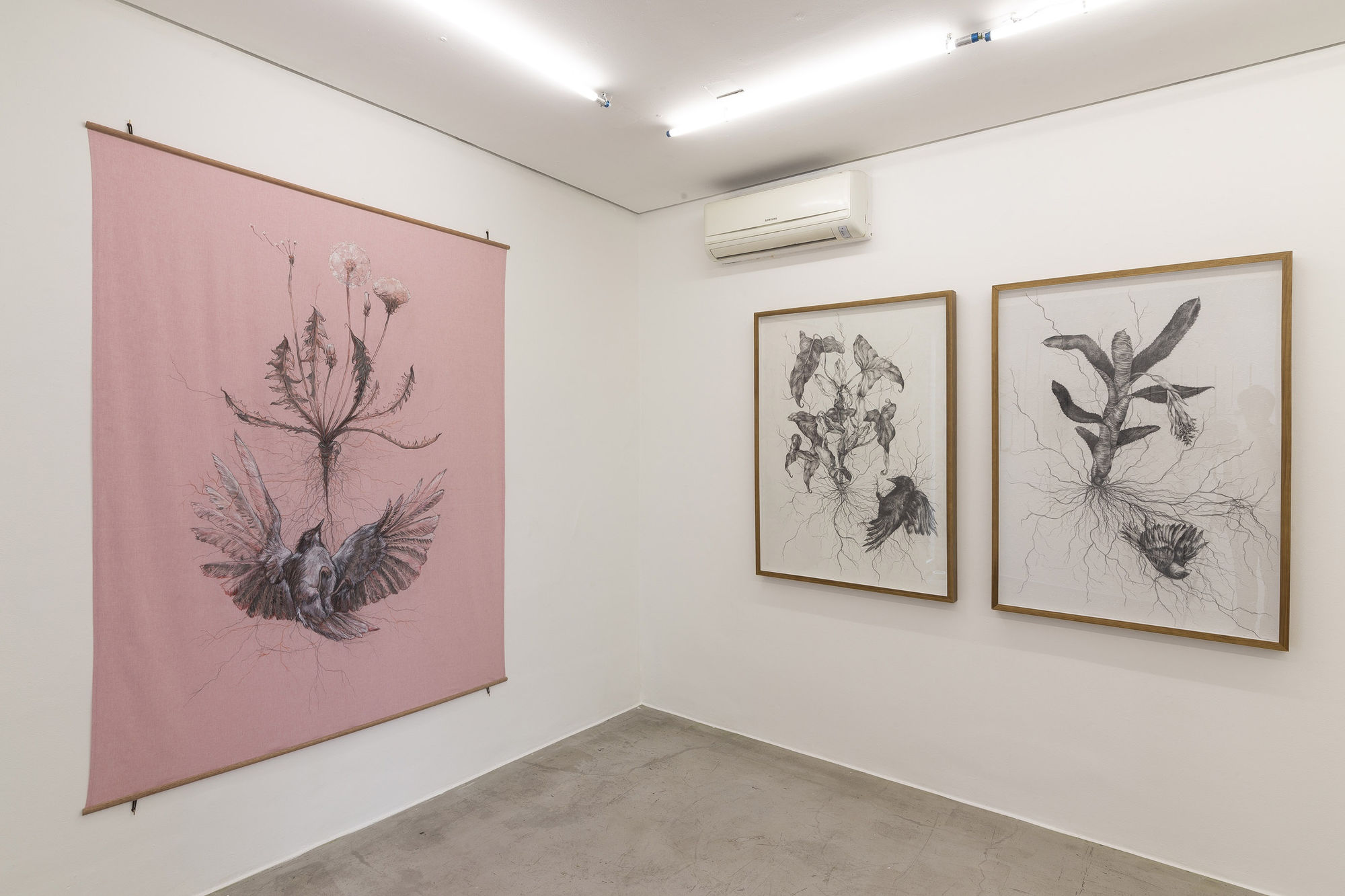 Zip'Up: Na raiz / Caminho / Pelos laços / Passarinho