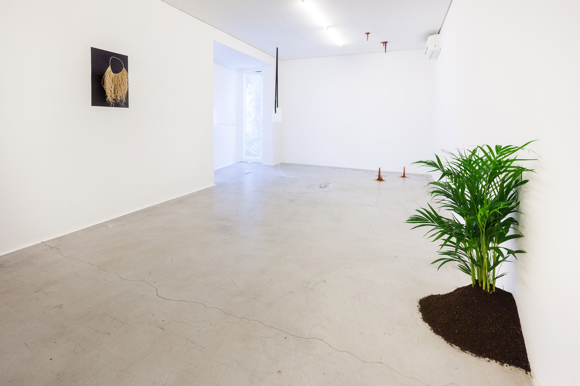 Zip'Up: O animal que logo sou