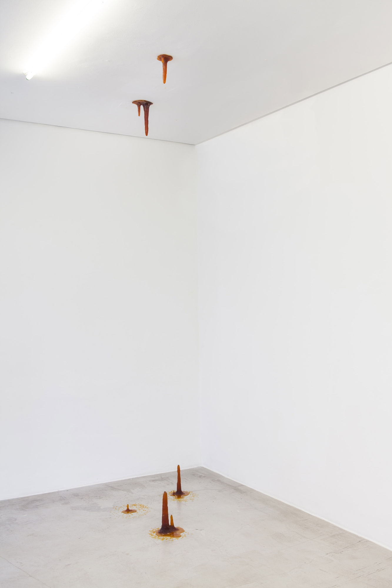 Zip'Up: O animal que logo sou