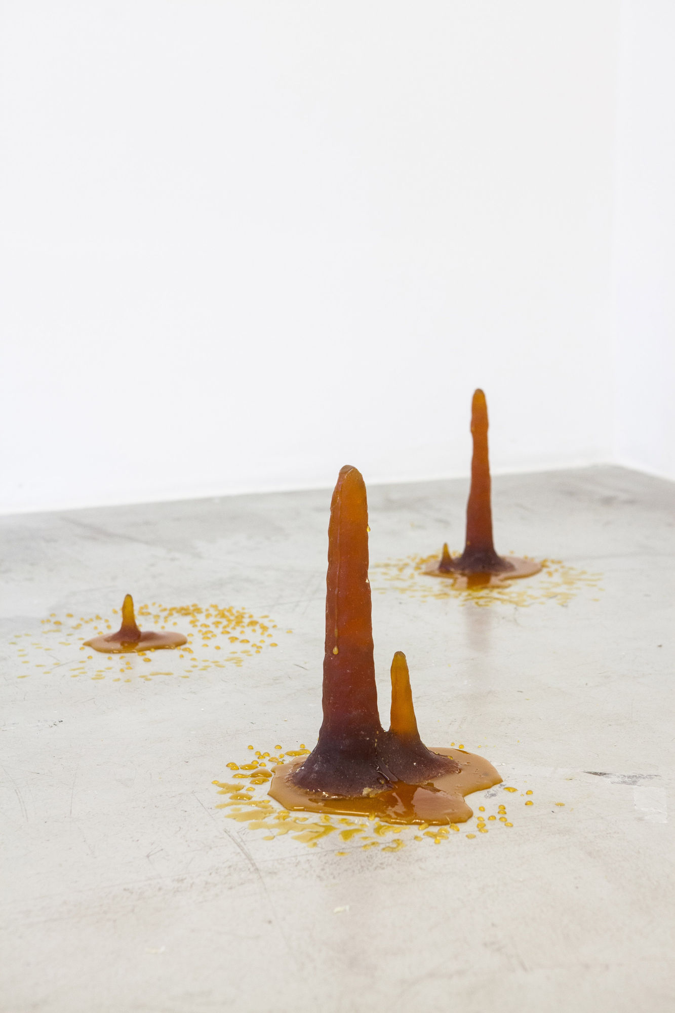 Zip'Up: O animal que logo sou