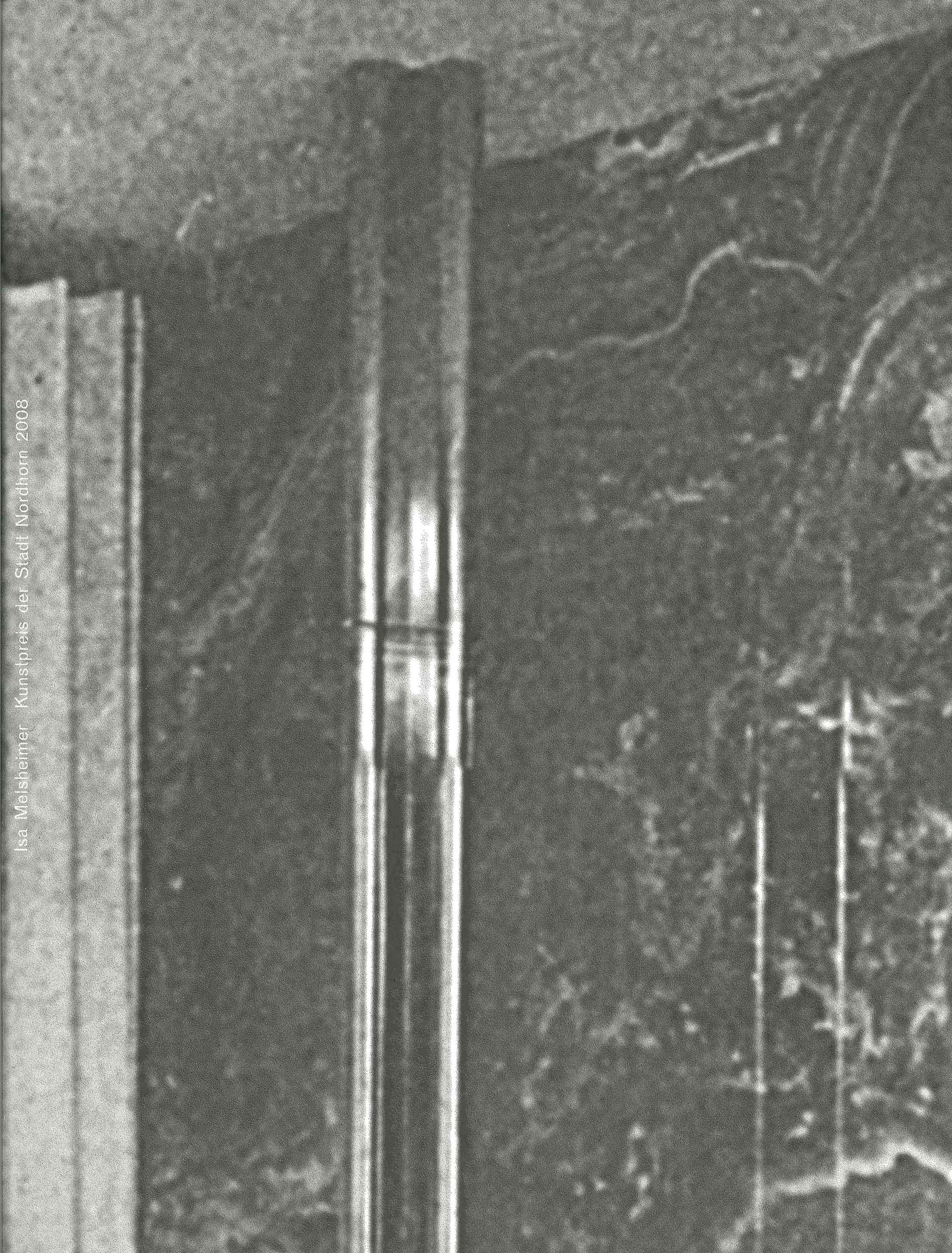 Isa Melsheimer Isa Melsheimer. Kunstpreis der Stadt Nordhorn 2008