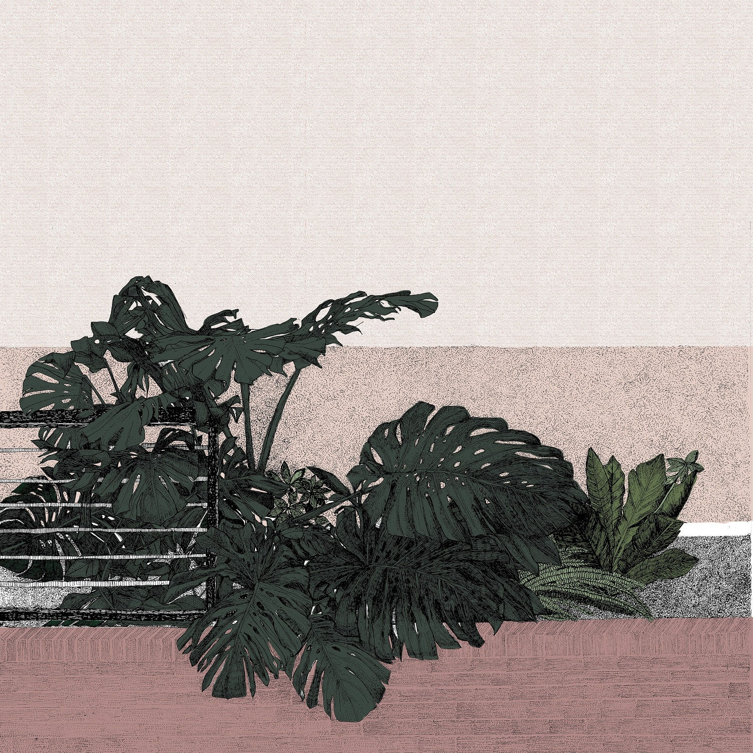 Clare Halifax screenprint of a cheese plant on a salmon pink patterned background