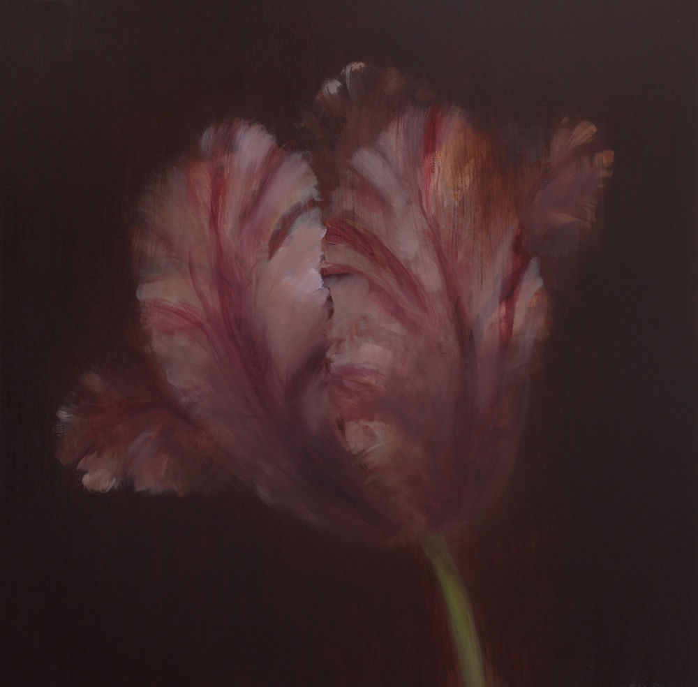 Fletcher Prentice, Parrot Tulip Study 2, 2021