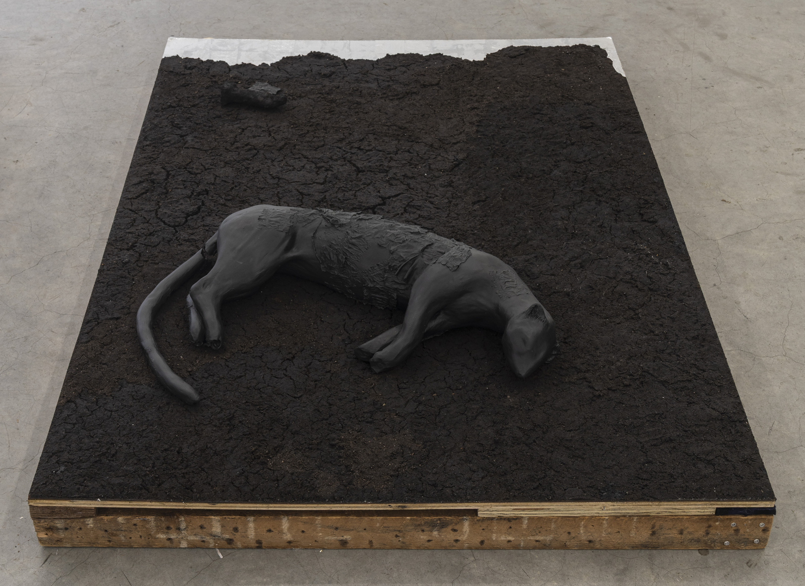 Paulina Moncada, Husk, 2025