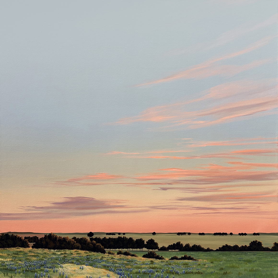 KRISTIN MOORE, Texas Bluebonnets, 2026