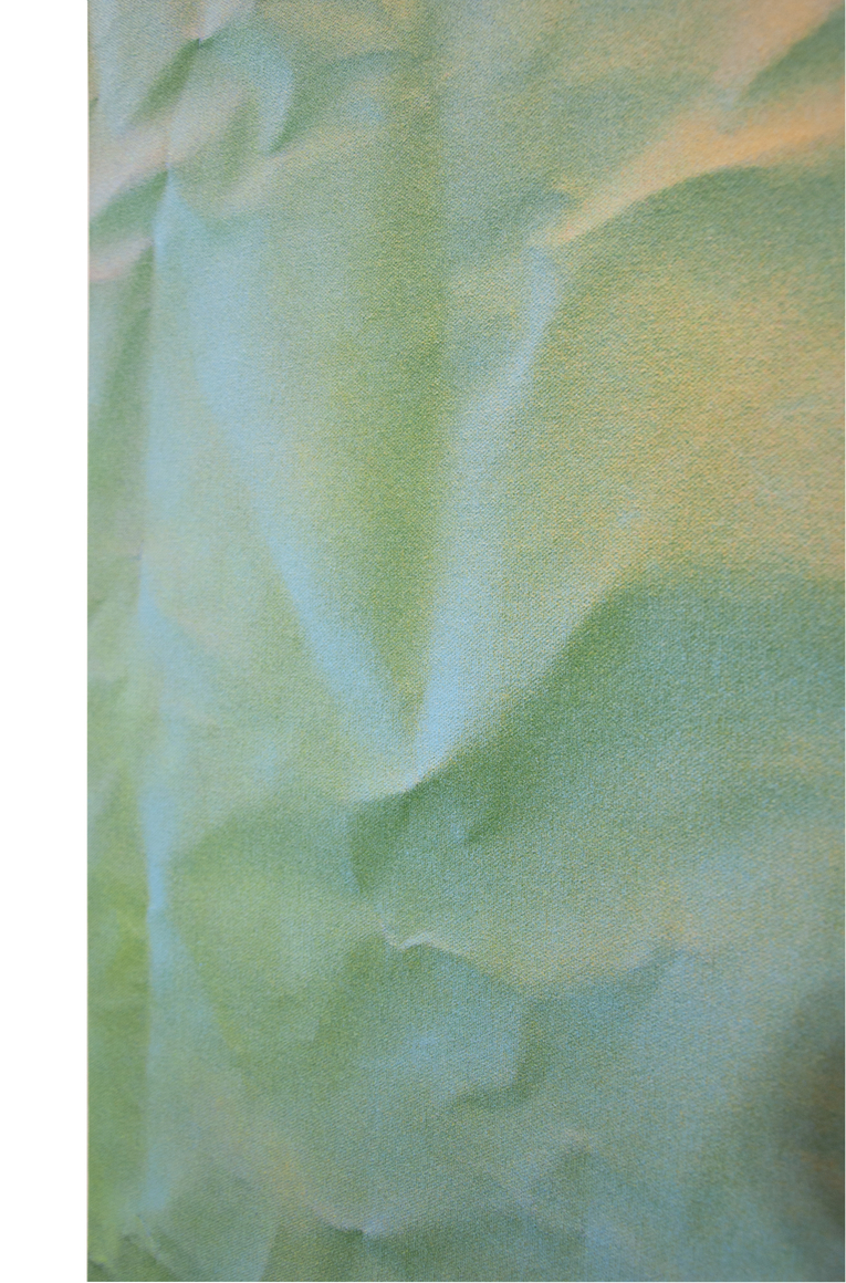 BONNIE MAYGARDEN, Meadow Where a Golf Course Used to Be, 2026