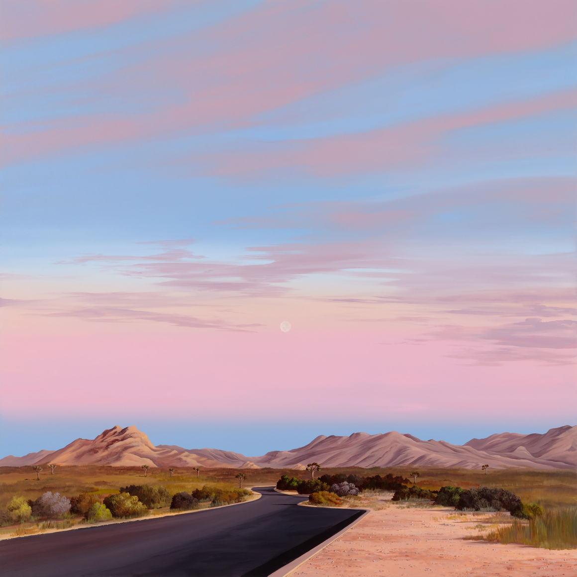 KRISTIN MOORE, Joshua Tree National Park (Sunset), 2024