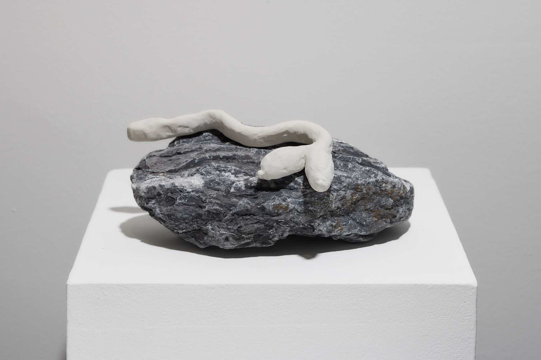 ANASTASIA PELIAS, You Didn't Die and I Didn't Cry, 2025