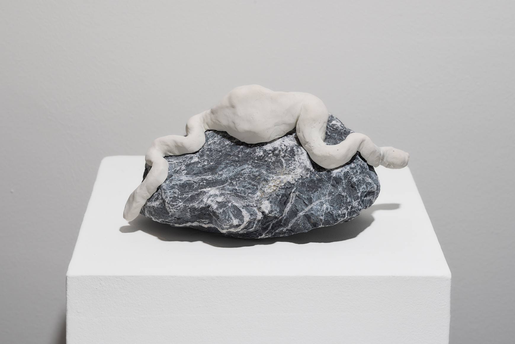 ANASTASIA PELIAS, Inside the Dream, 2025