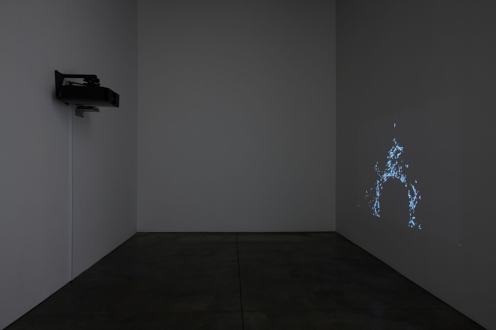 David Musgrave, Installation view