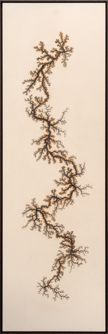 &nbsp;, Douglas White