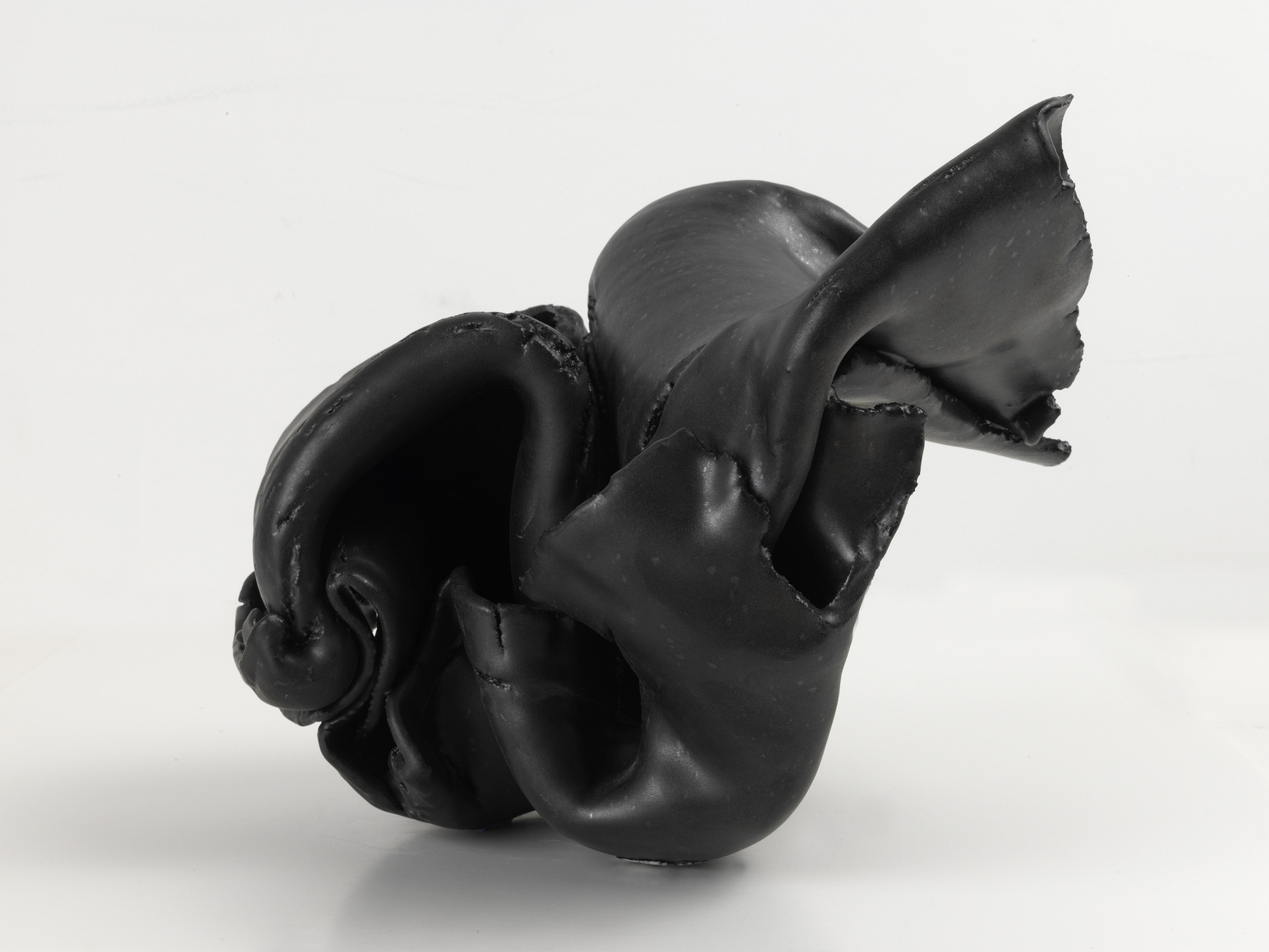 The Black Knot, 2014, Ceramic