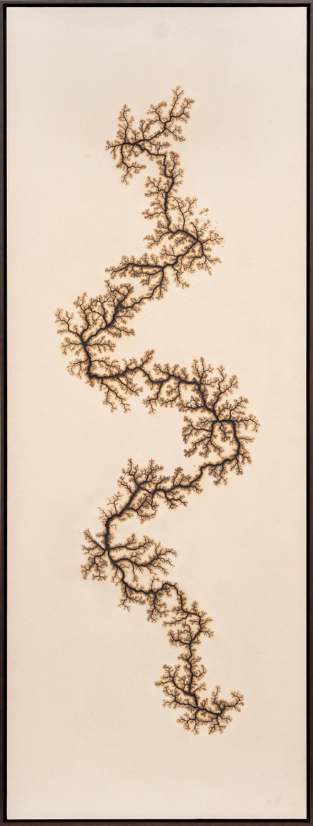 Douglas White, Lichtenberg Drawing 1, 2026