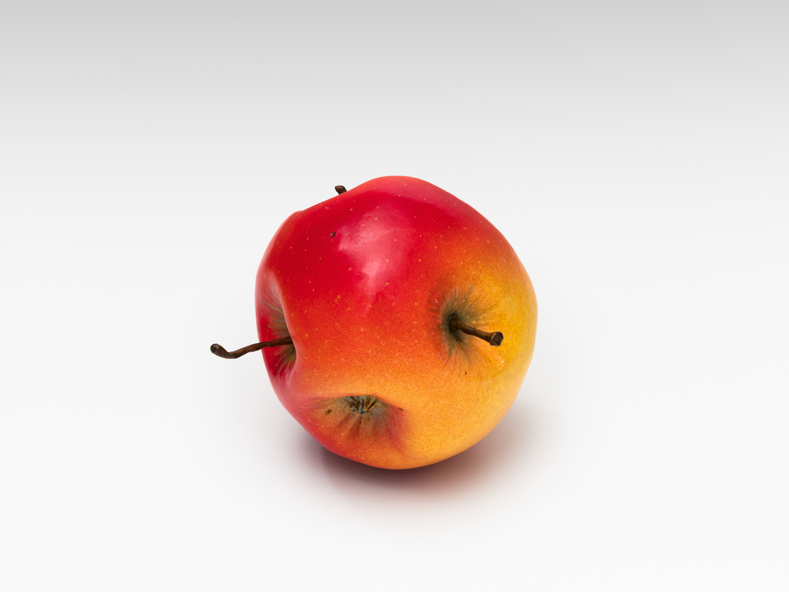 Alicja Kwade, MalusMultiplex