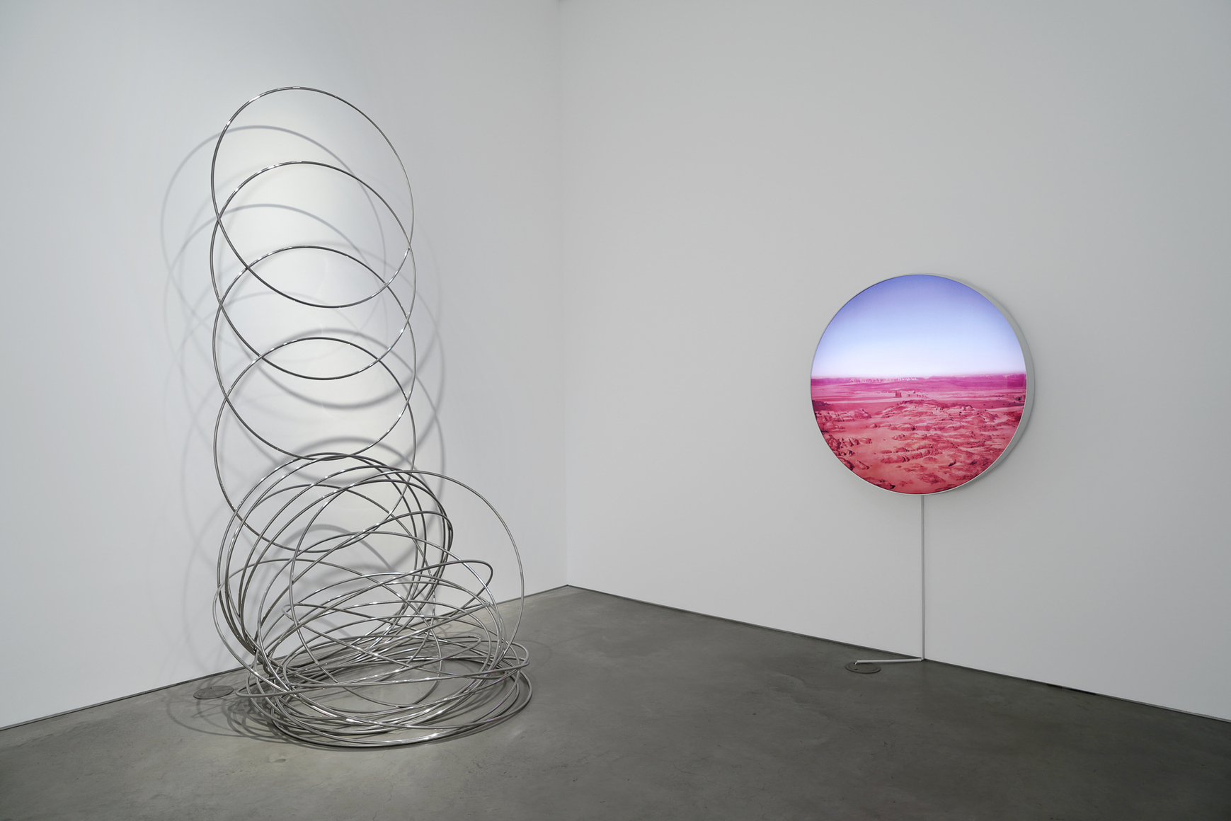 Installation view: Project Room: Armory Highlights, 303 Gallery, New York, 2021