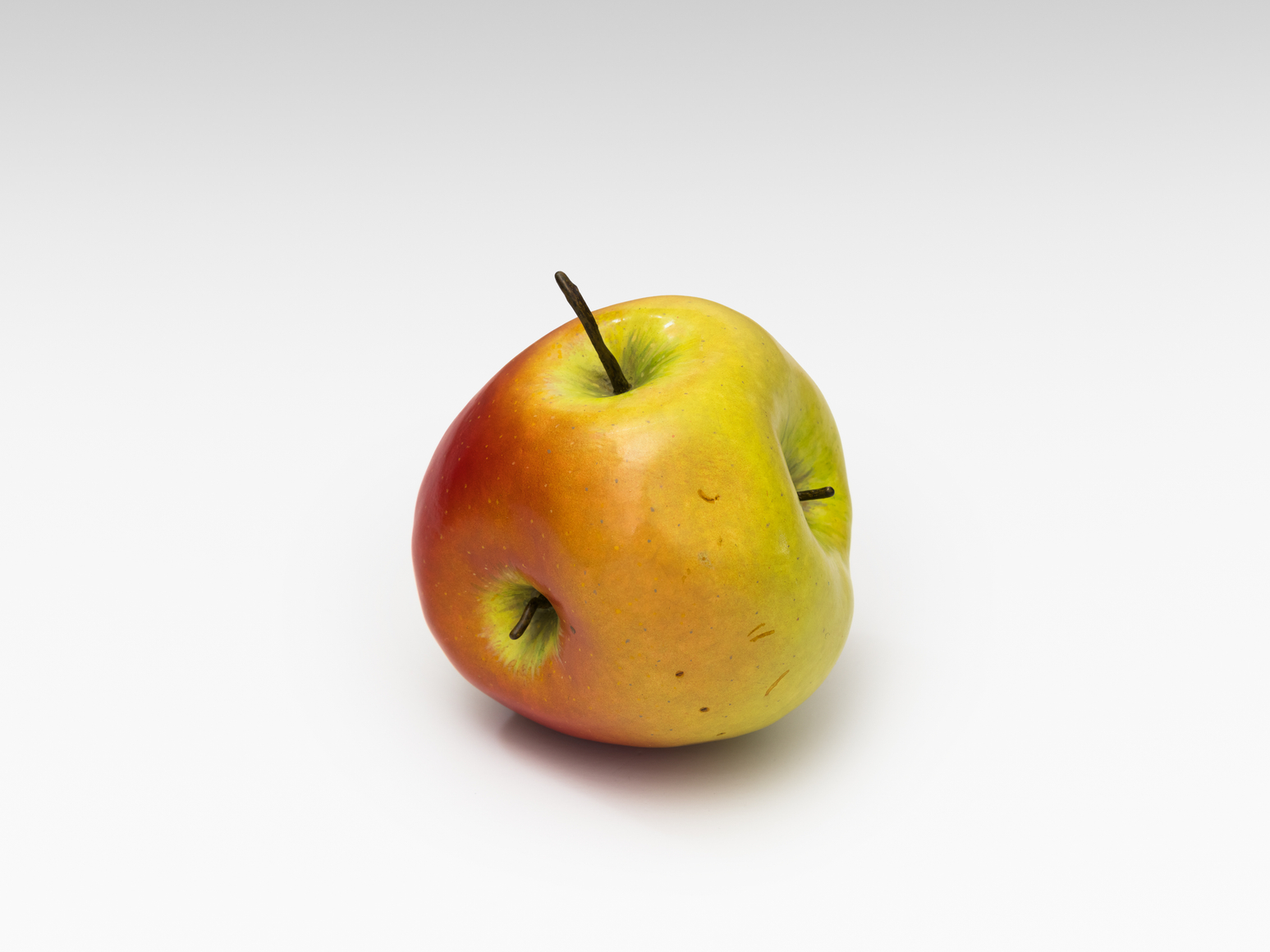 Alicja Kwade, MalusMultiplex