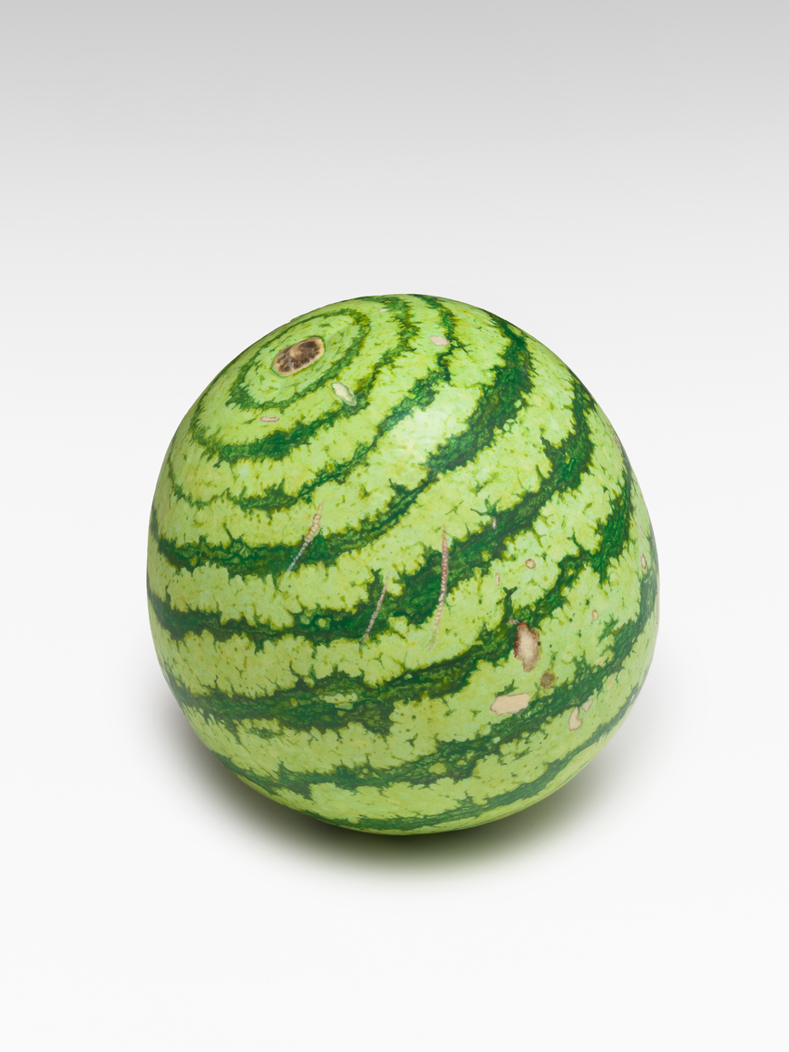 Alicja Kwade, Marsmelone