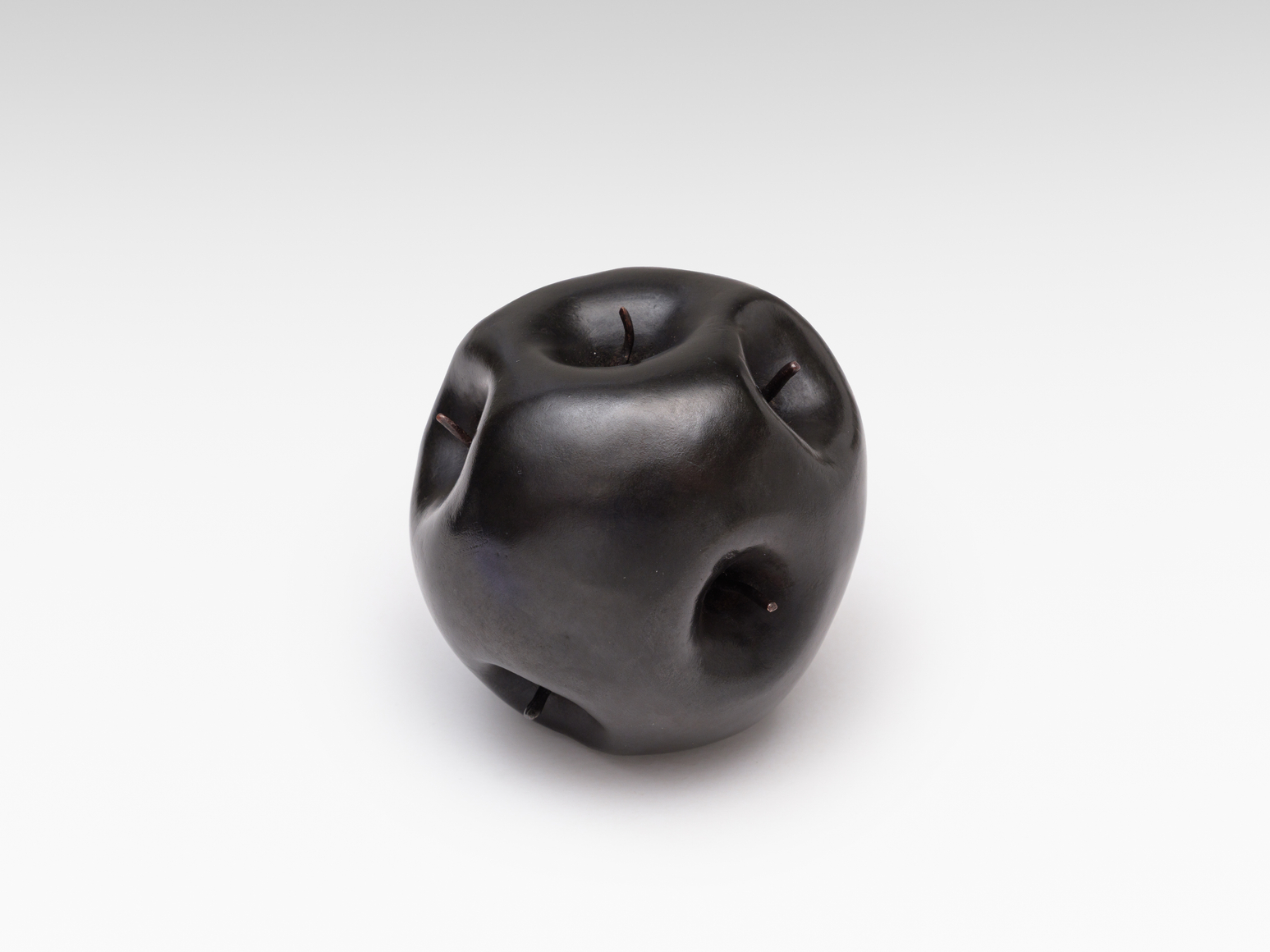 Alicja Kwade, MalusMultiplex