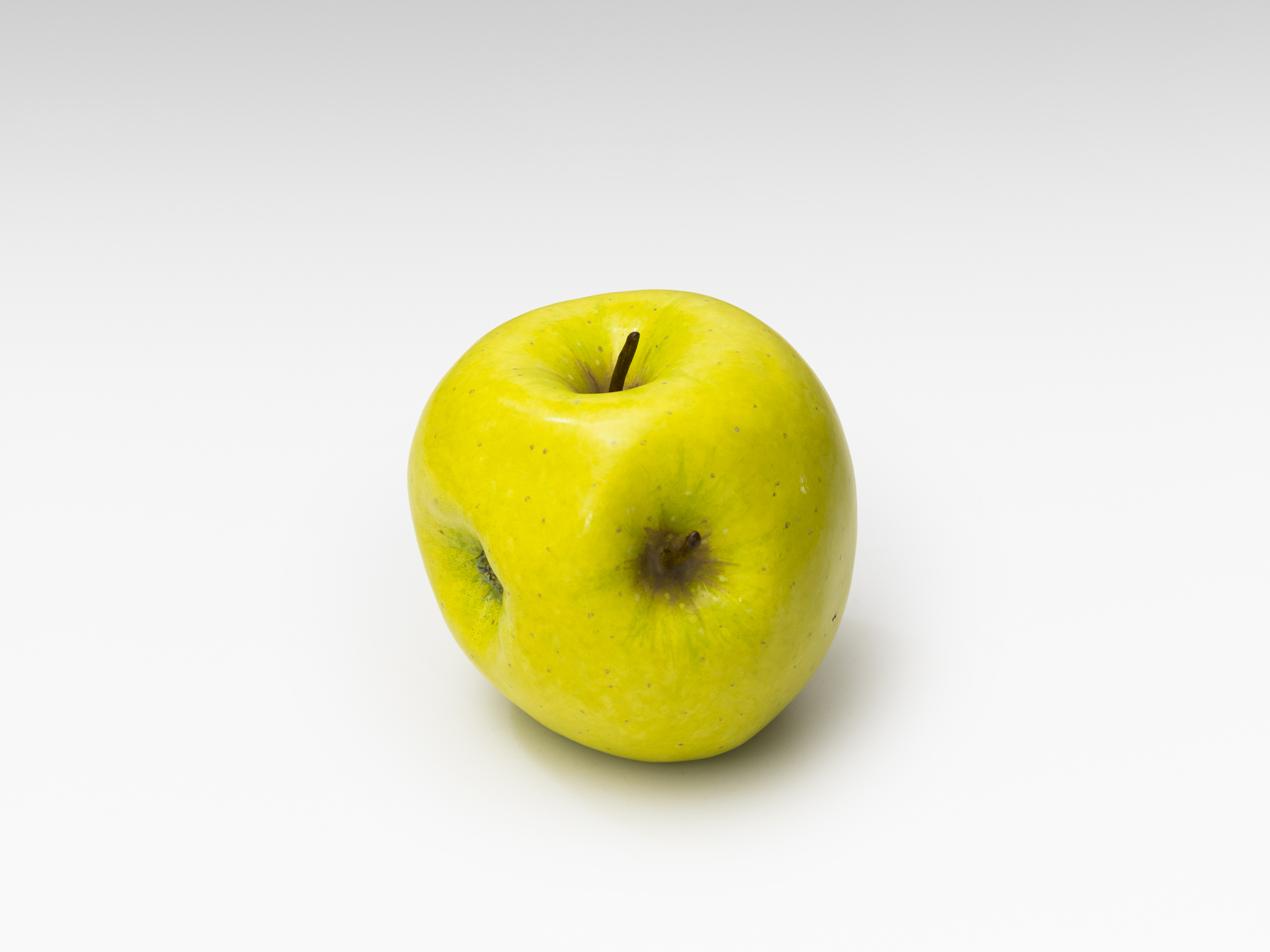 Alicja Kwade, MalusMultiplex