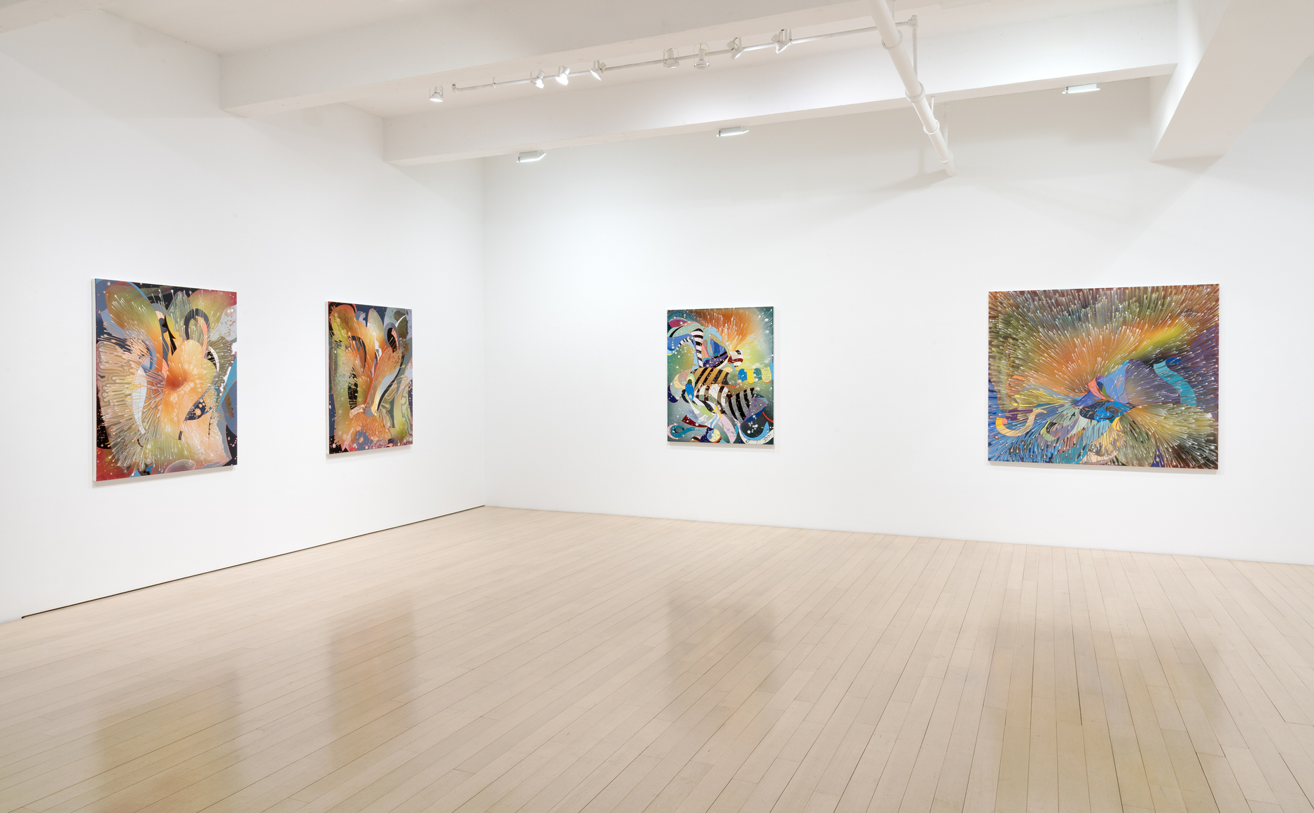 Barbara Takenaga: Parallax