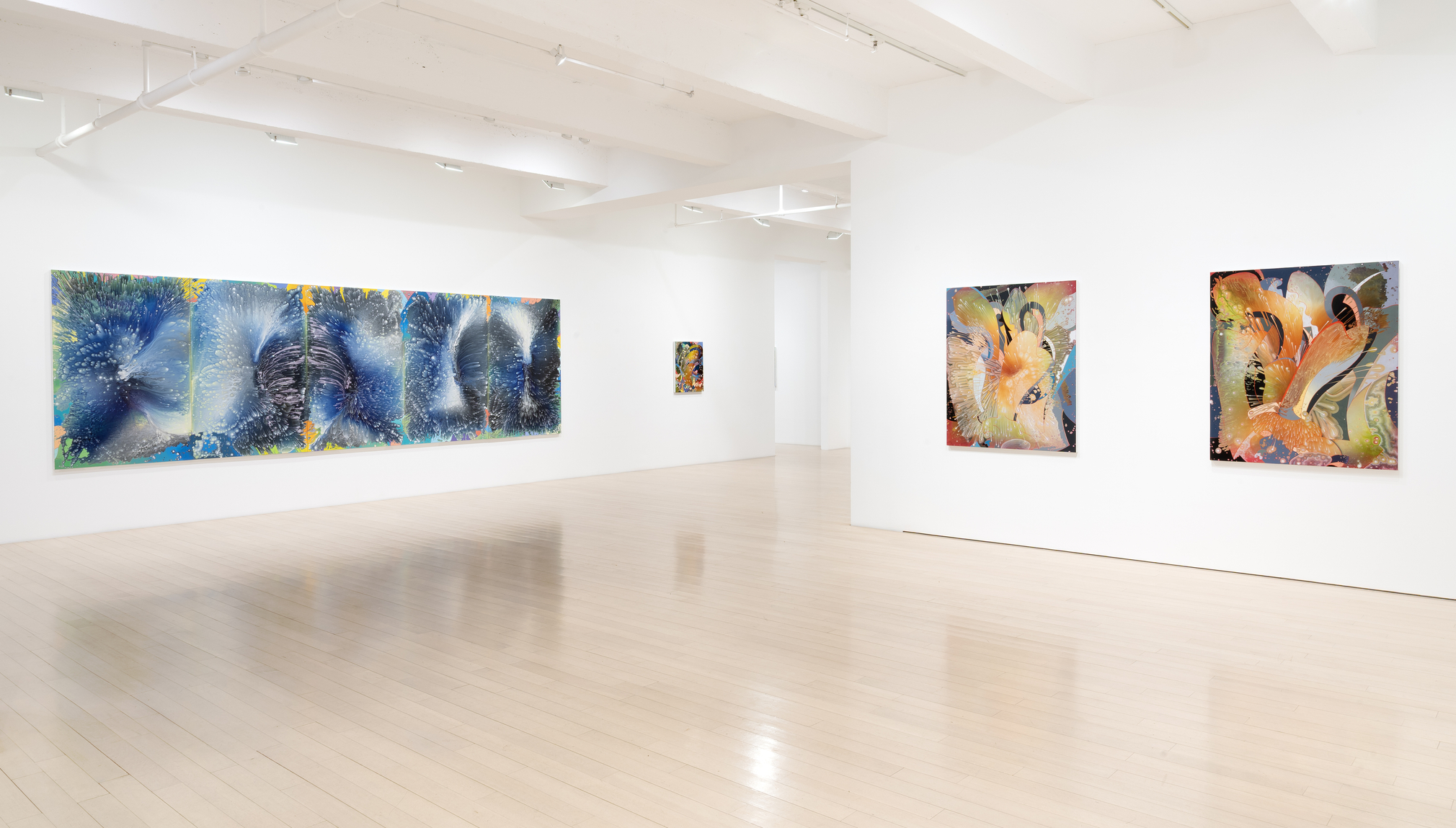 Barbara Takenaga: Parallax