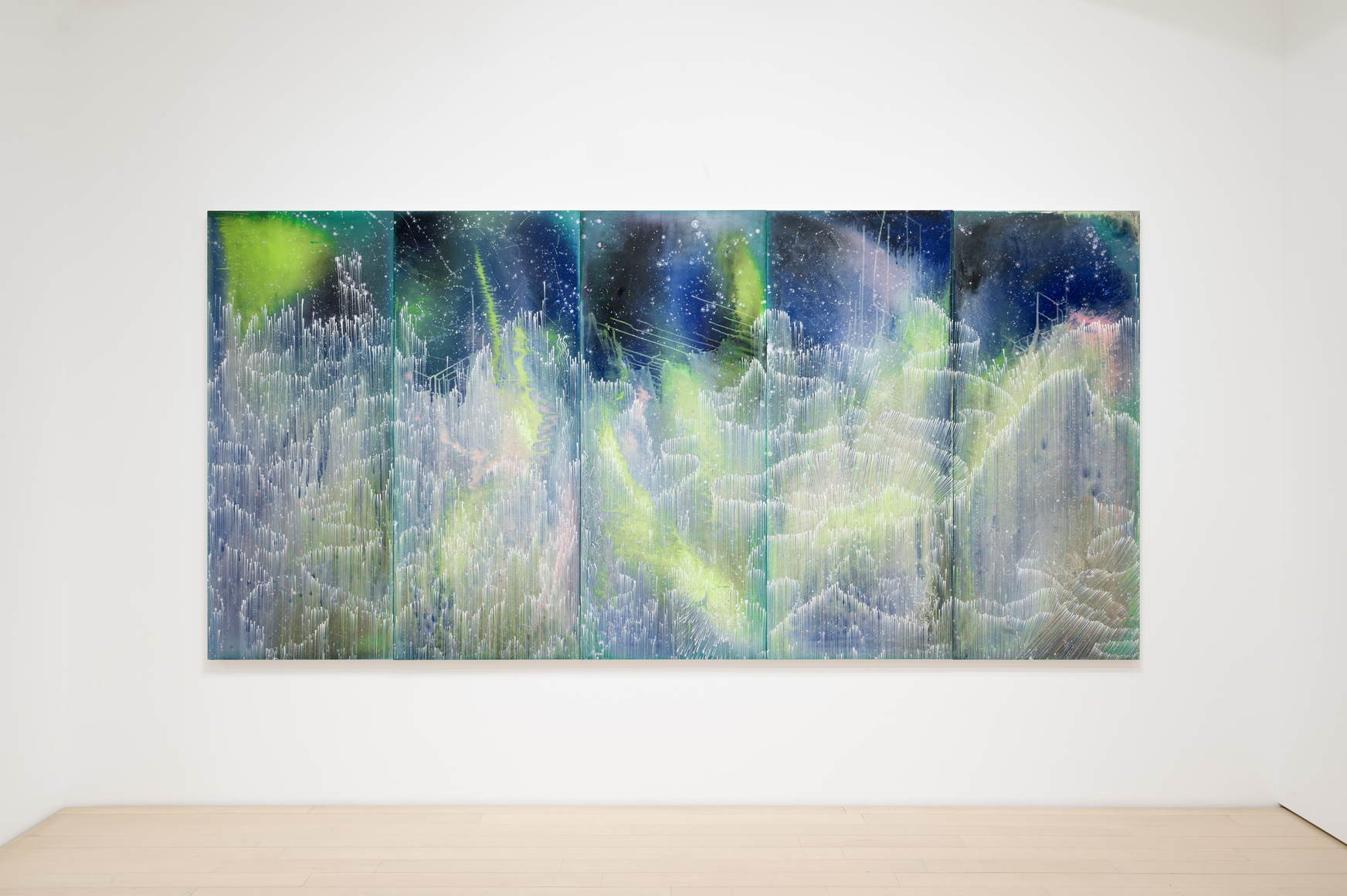 Barbara Takenaga: Parallax