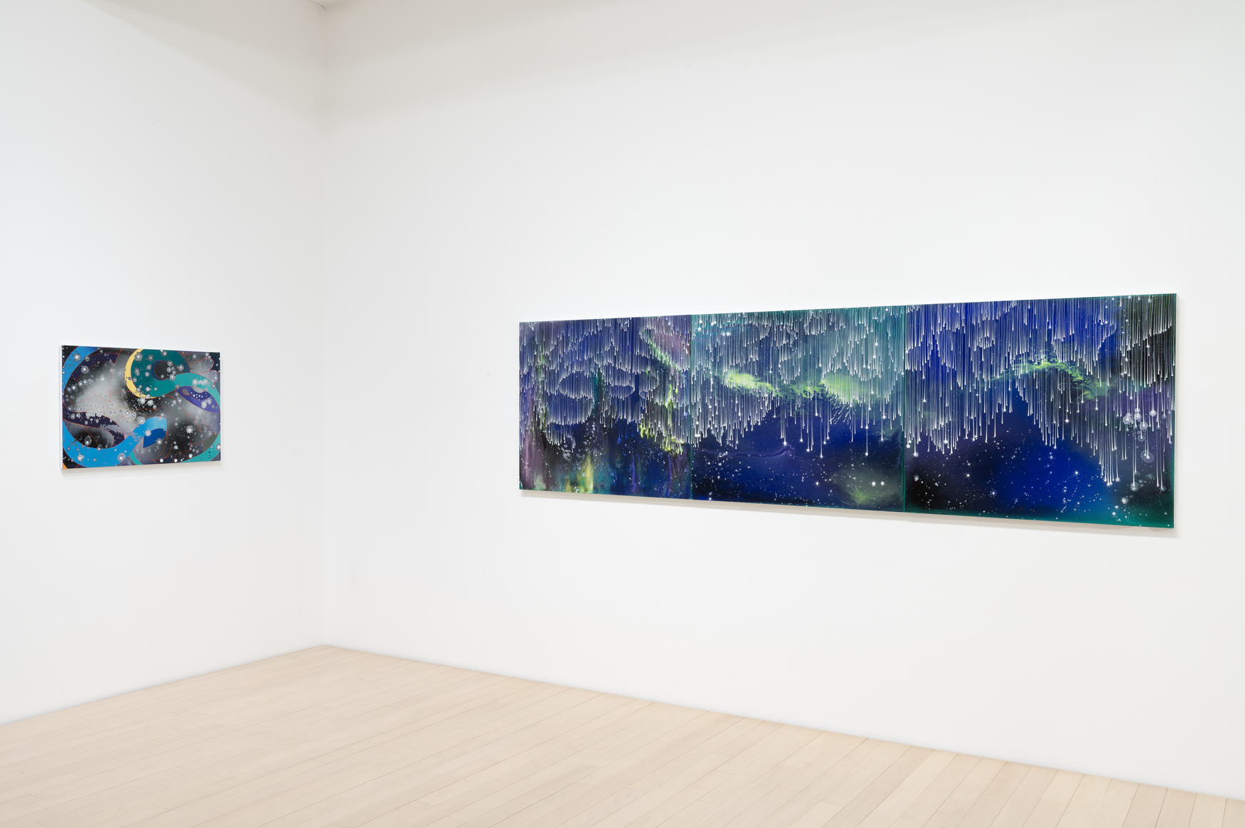 Barbara Takenaga: Parallax