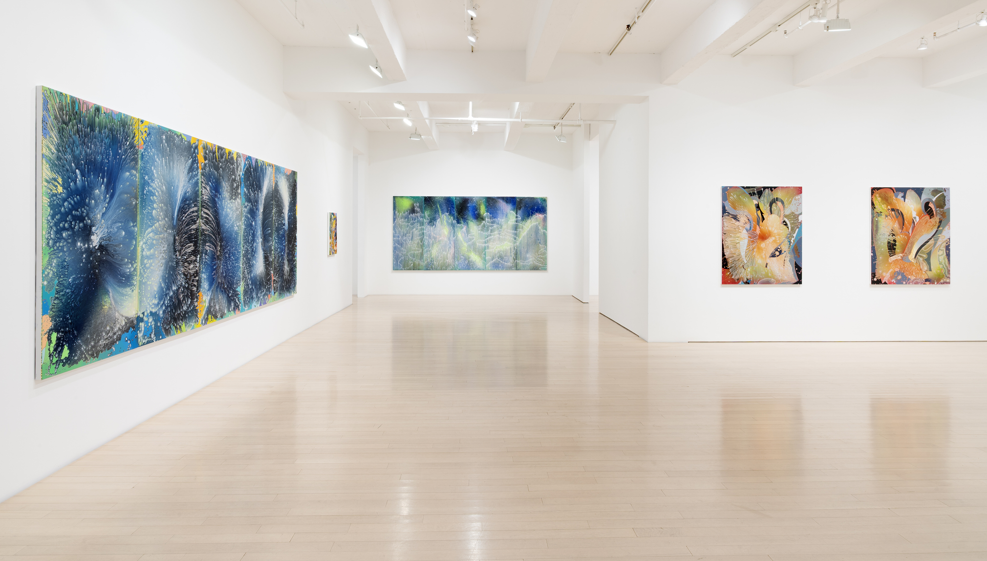 Barbara Takenaga: Parallax