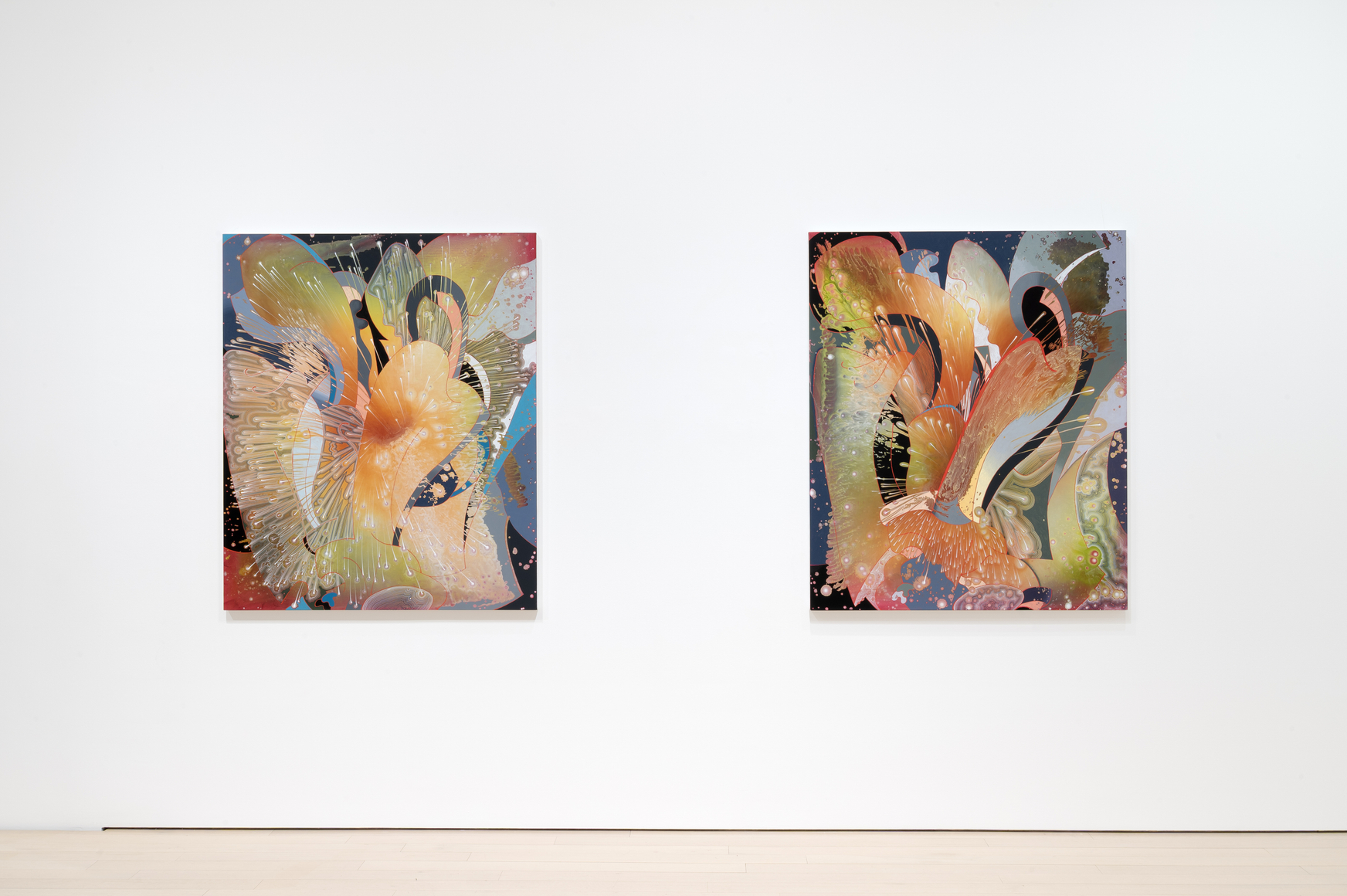 Barbara Takenaga: Parallax